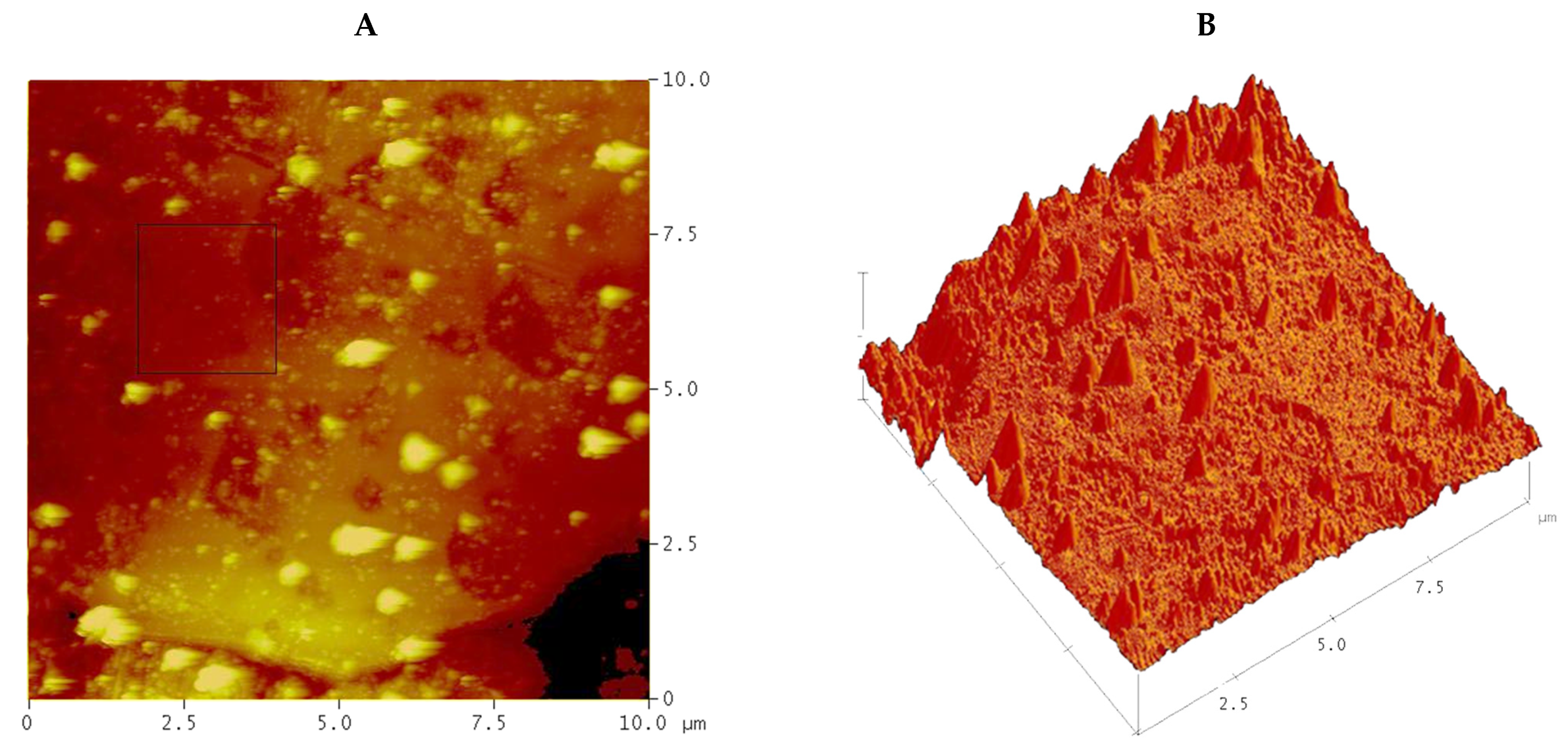 Suschem 03 00015 g004