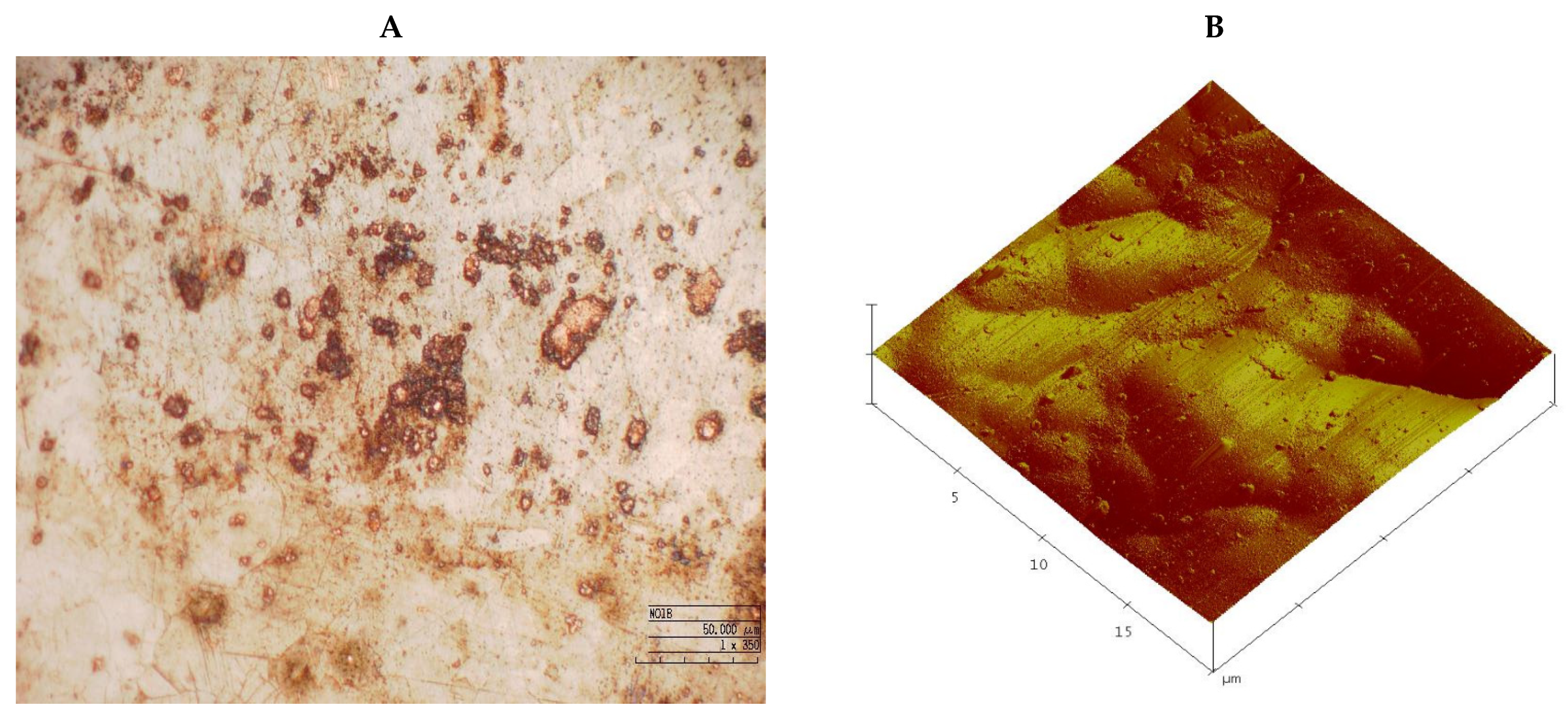 Suschem 03 00015 g005