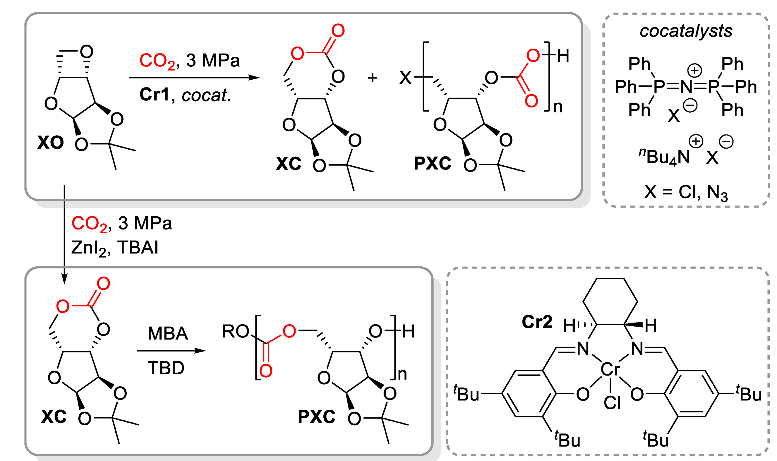 Suschem 03 00017 g024