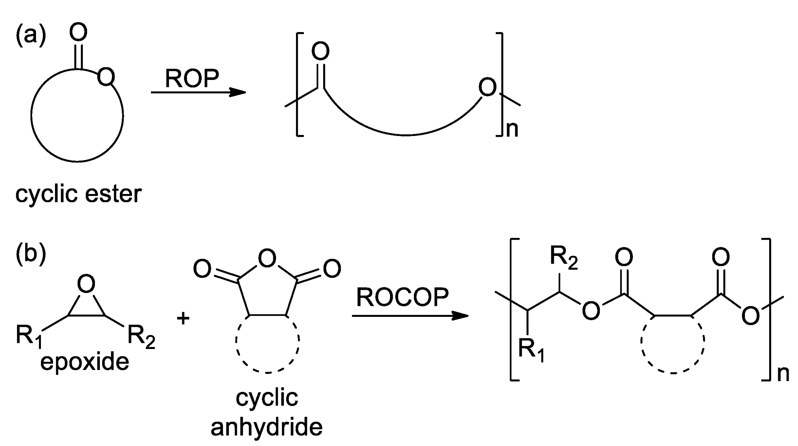 Suschem 03 00017 sch001