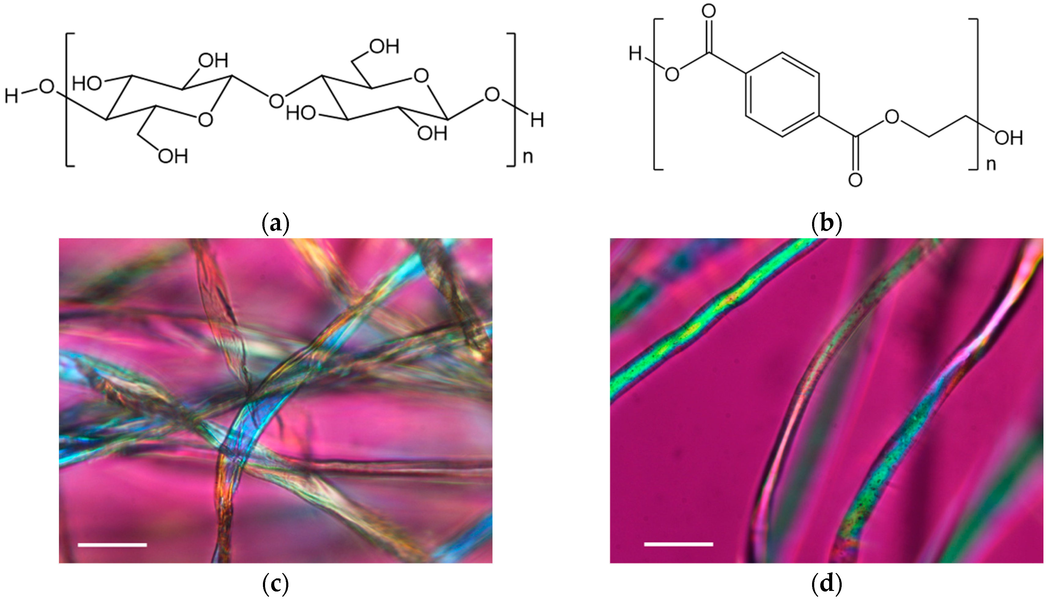 Suschem 03 00024 g002