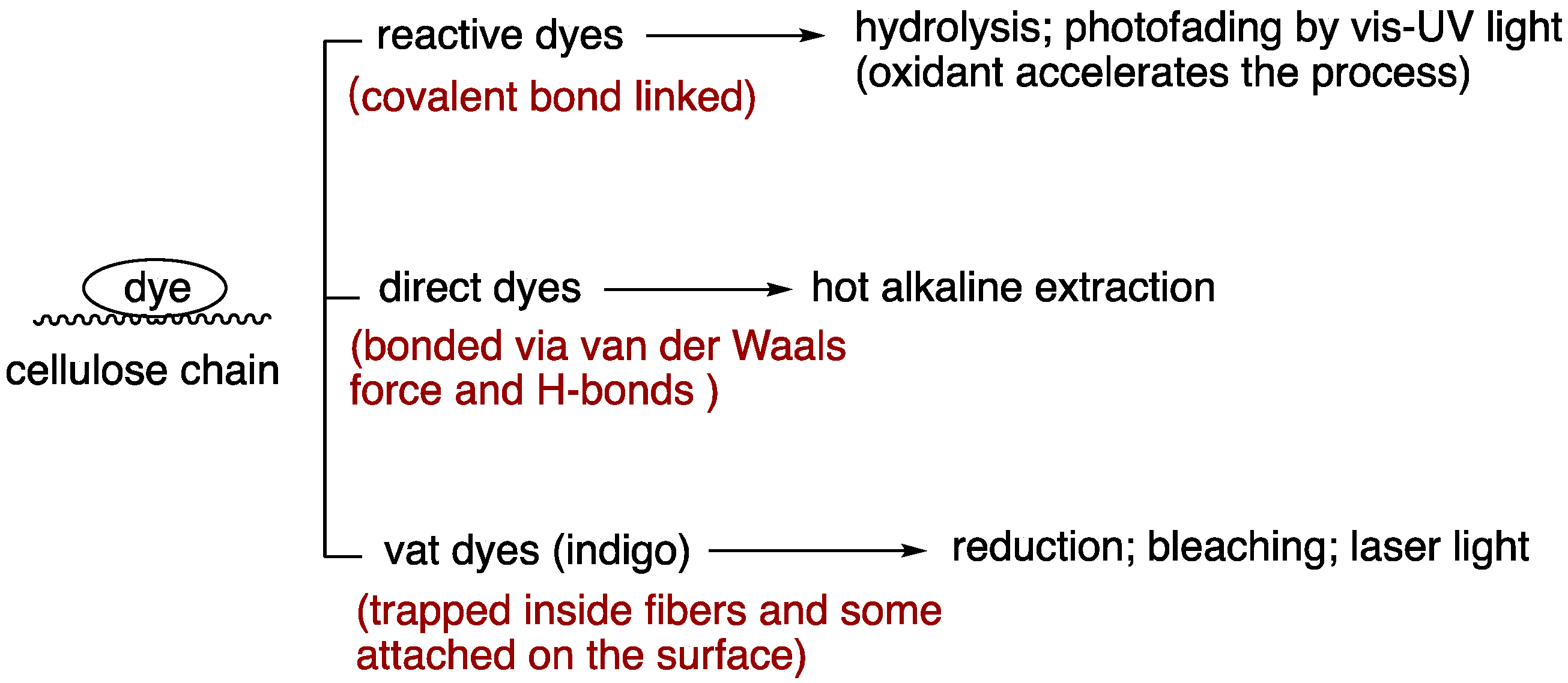 Suschem 03 00024 g005