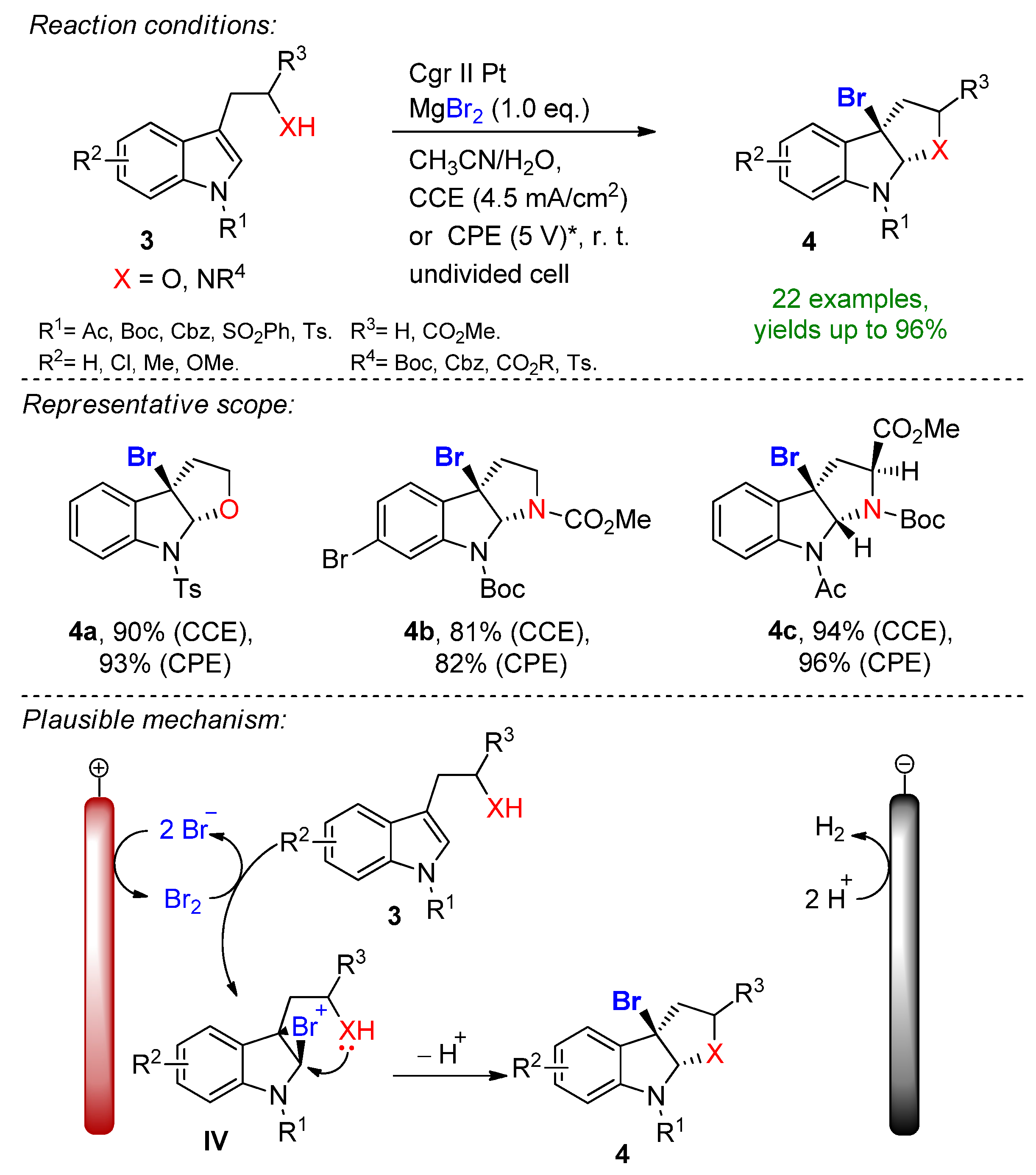 Suschem 03 00027 sch002