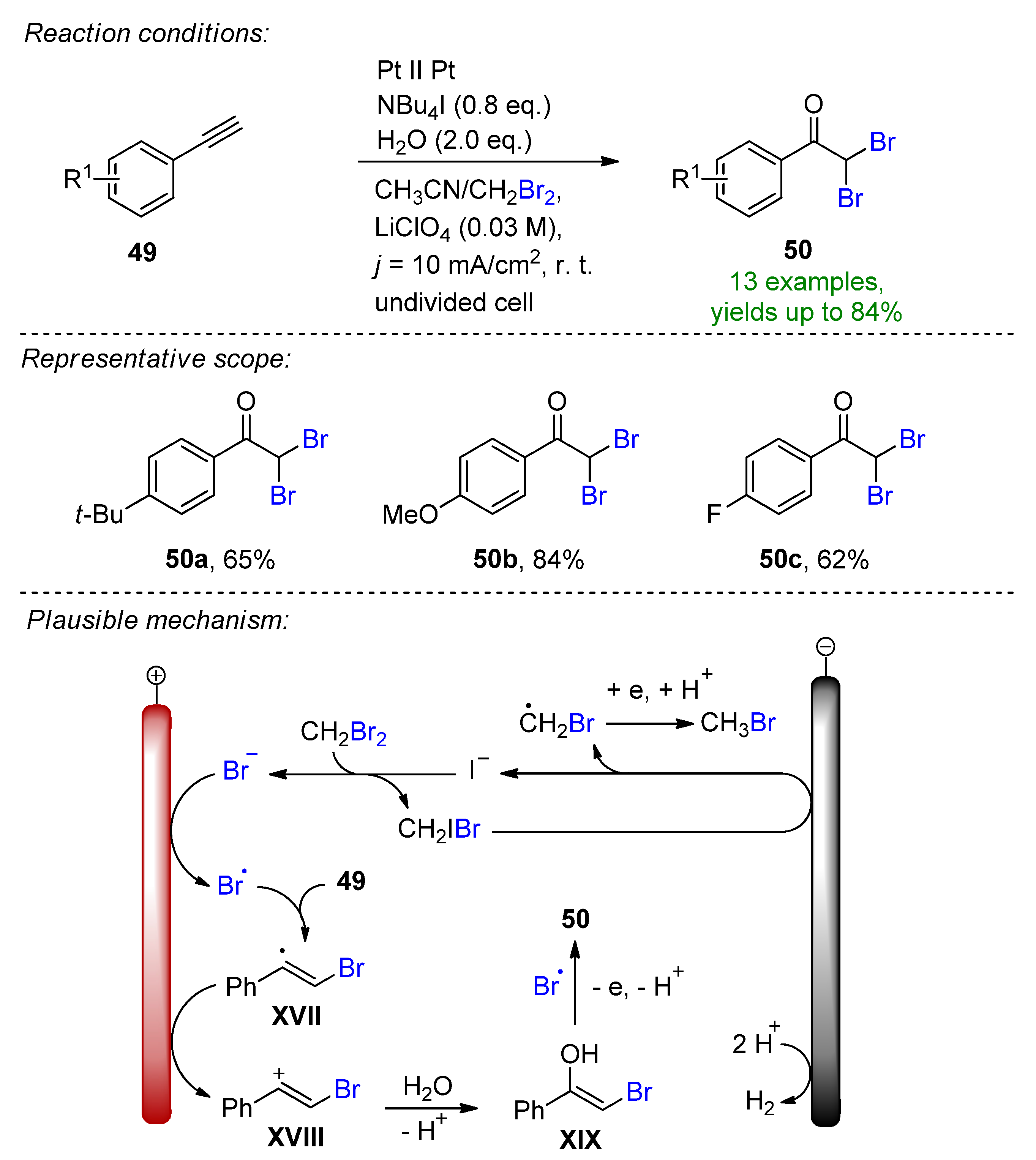 Suschem 03 00027 sch020