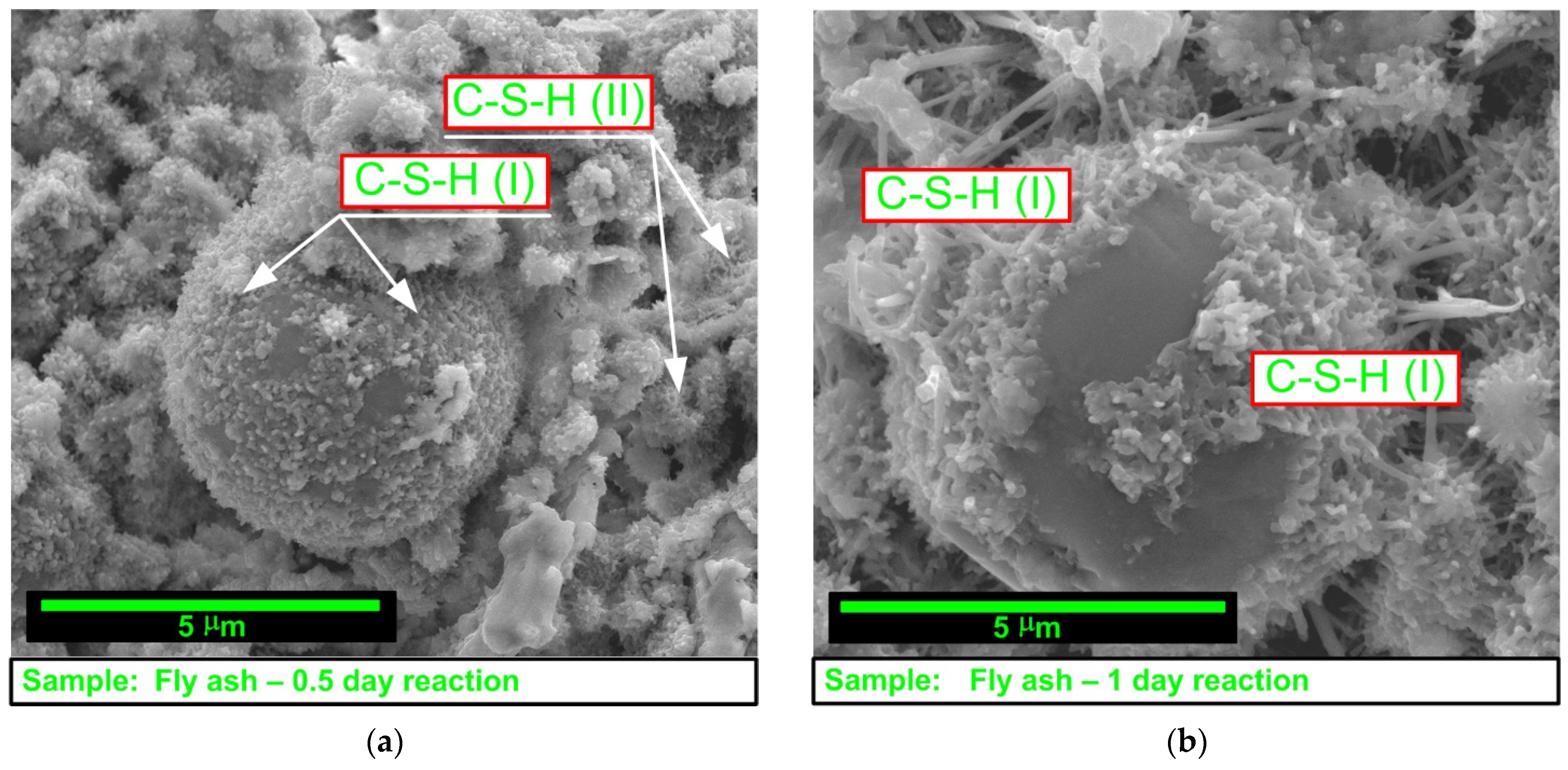 Suschem 03 00032 g002a