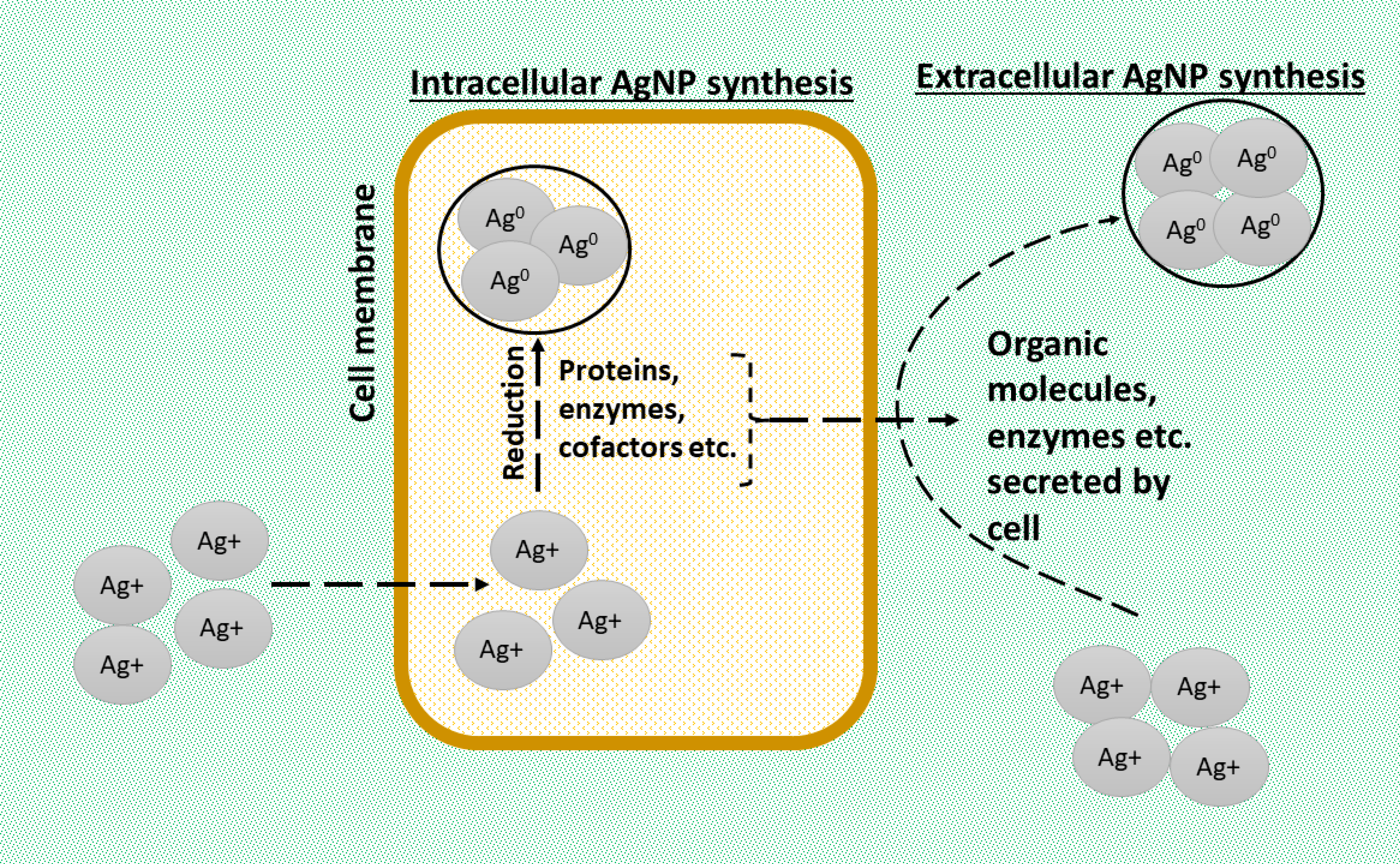 Suschem 04 00007 g002