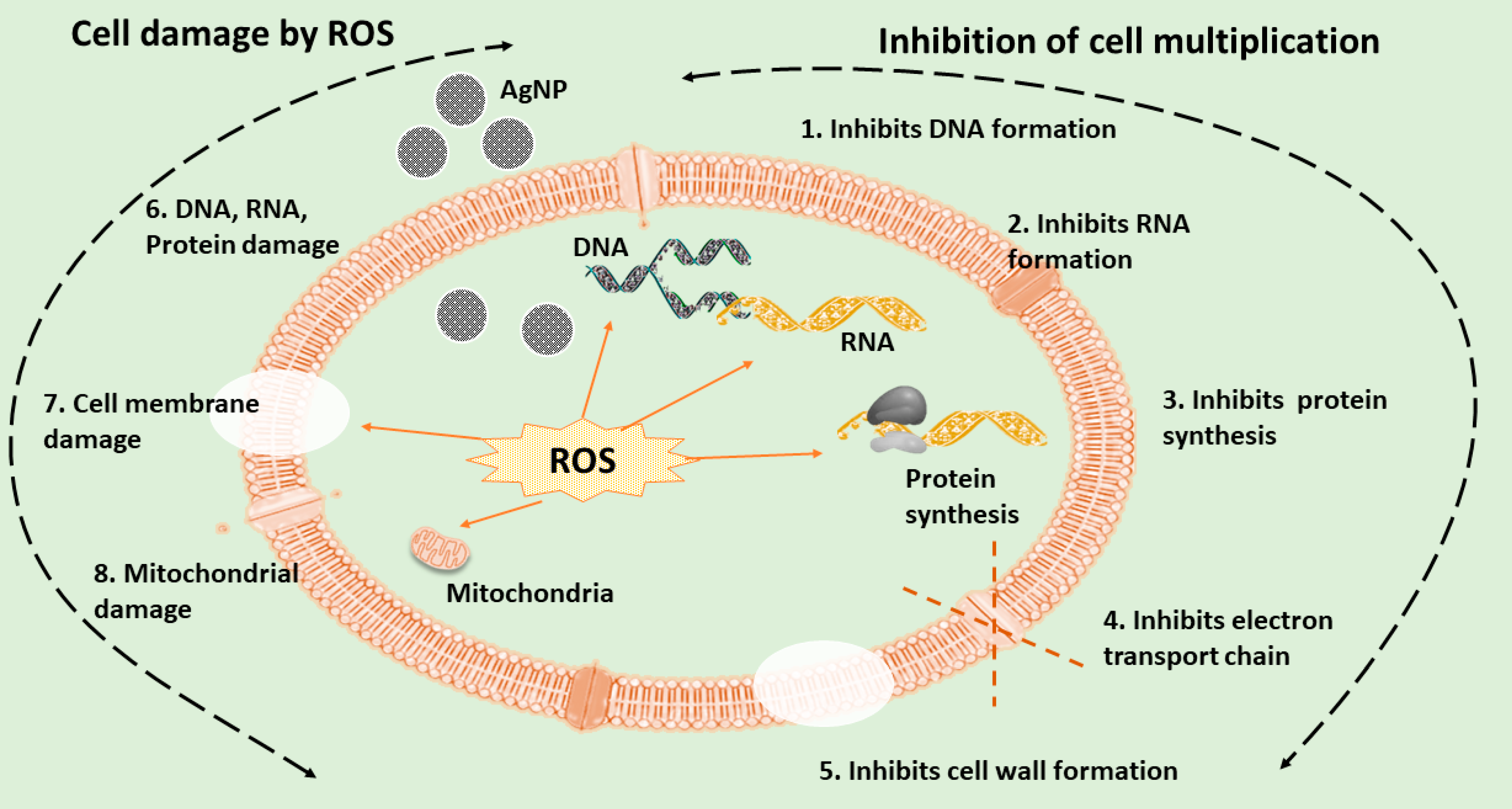 Suschem 04 00007 g004