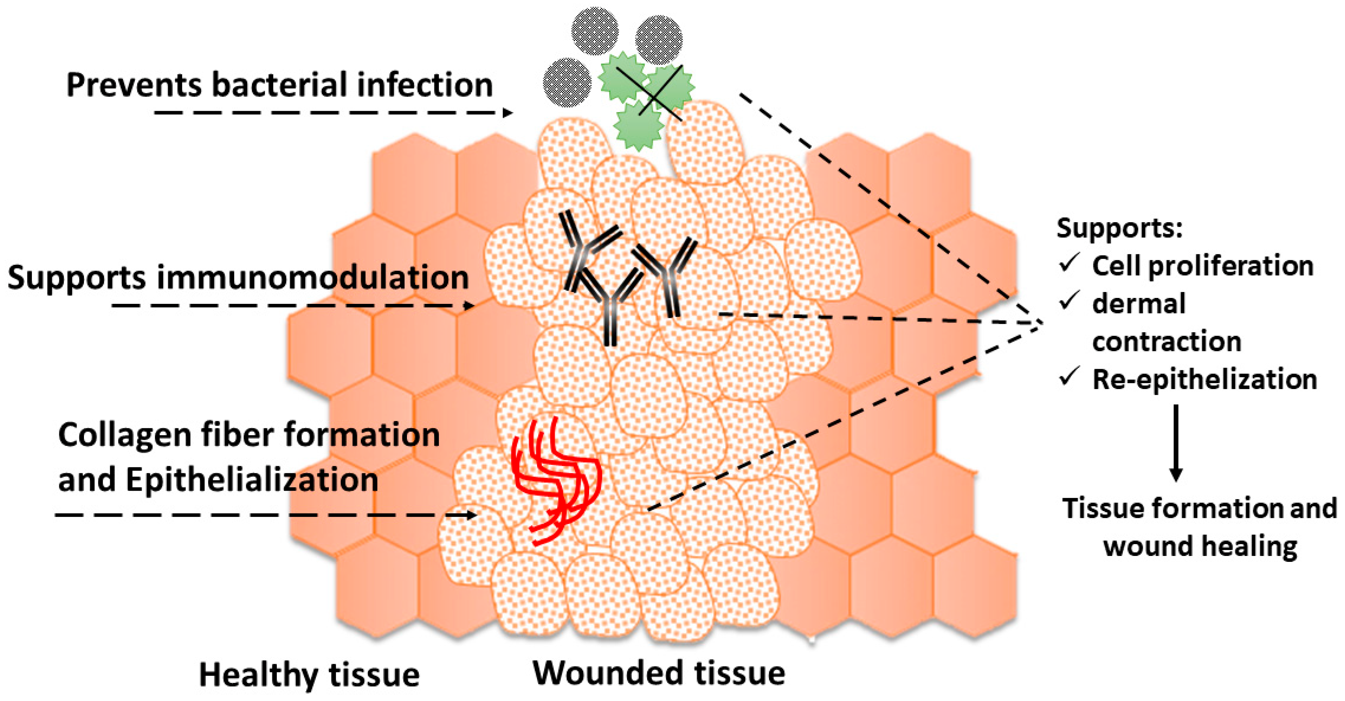 Suschem 04 00007 g005