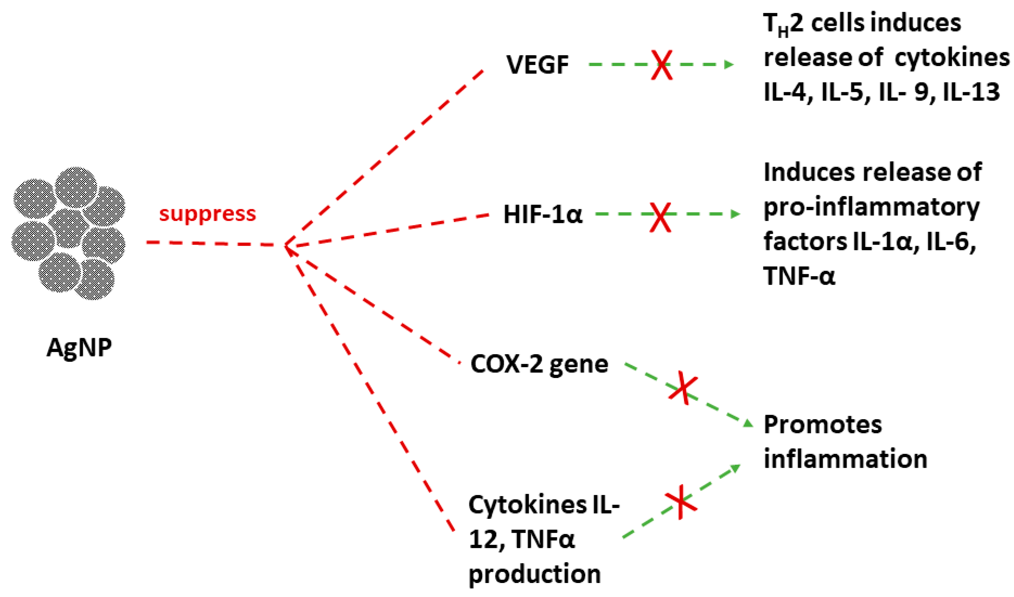 Suschem 04 00007 g007