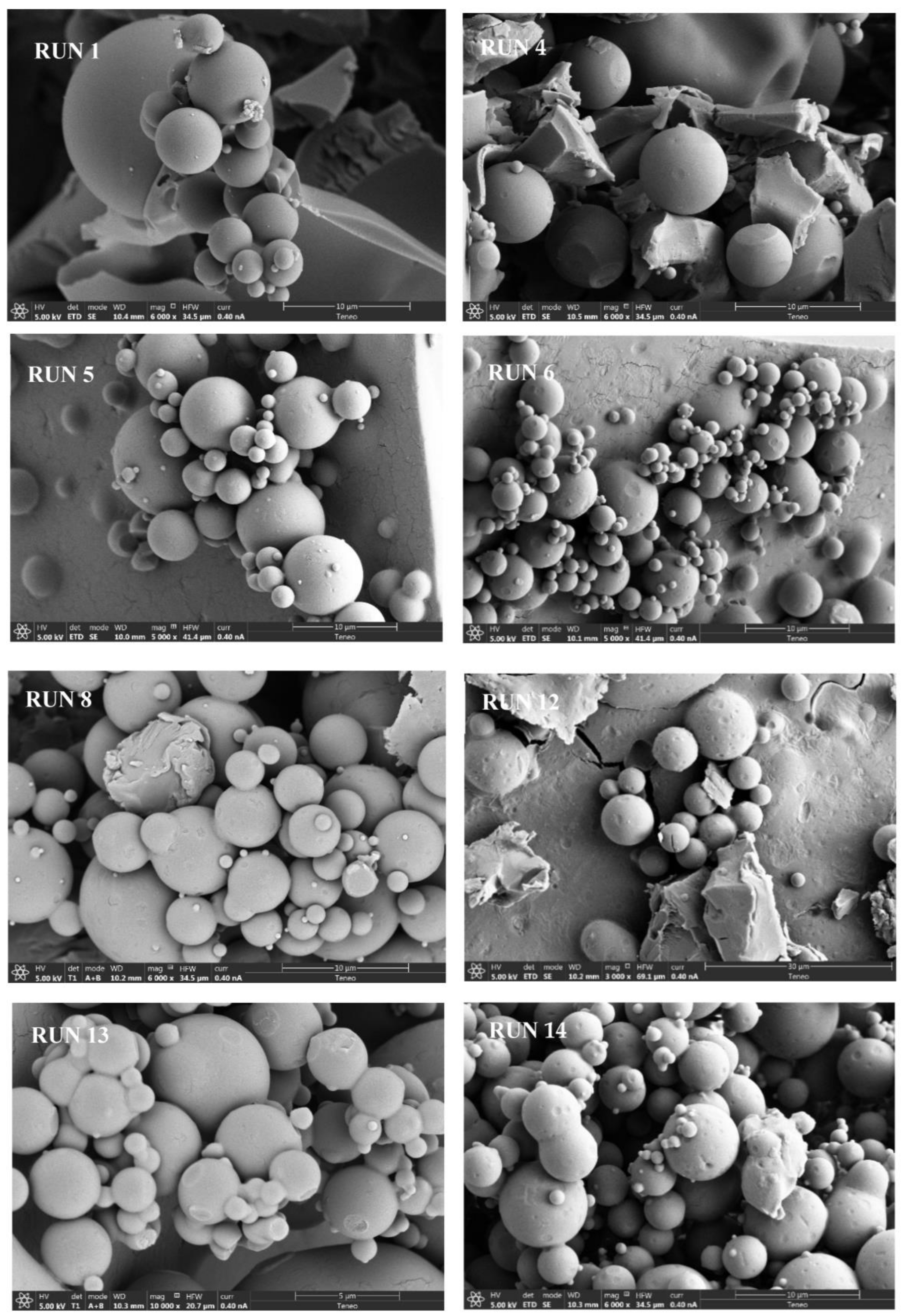 Suschem 04 00011 g002