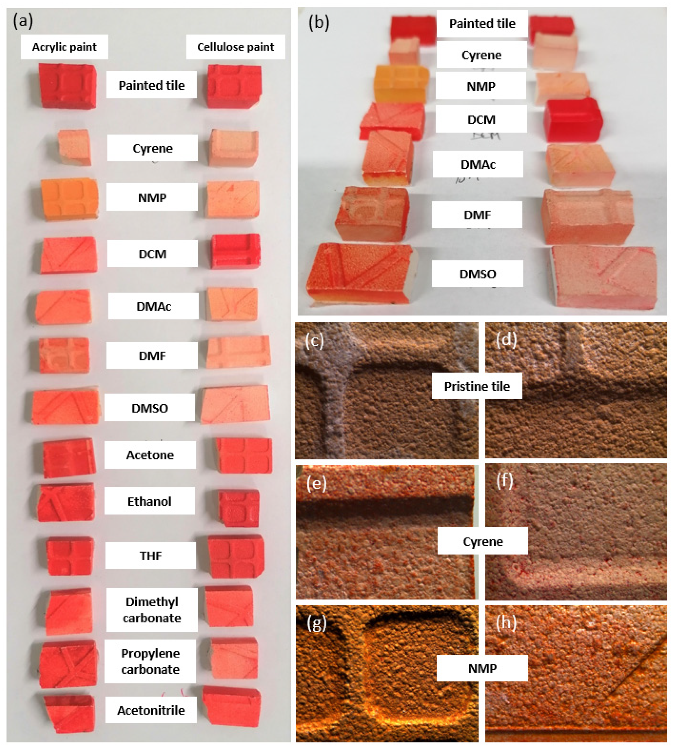 Suschem 04 00012 g005