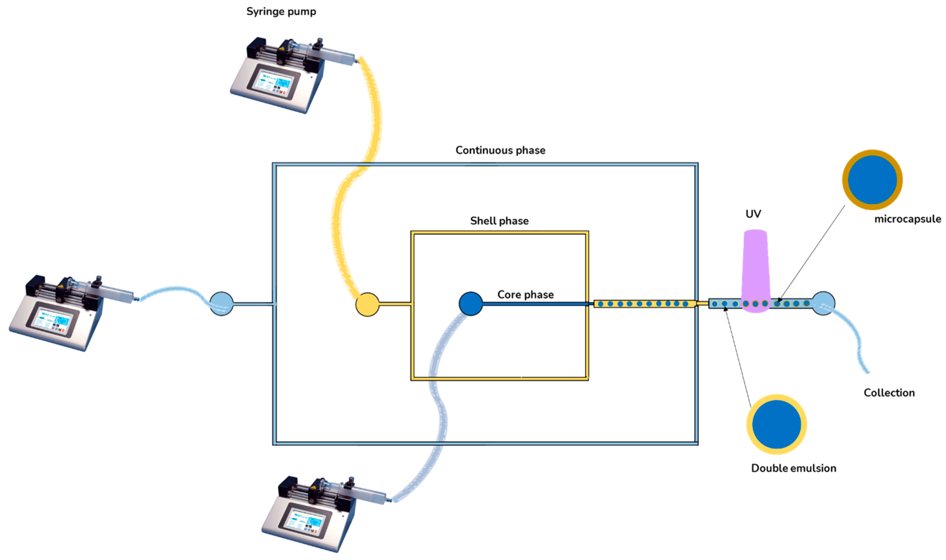 Suschem 04 00013 g003