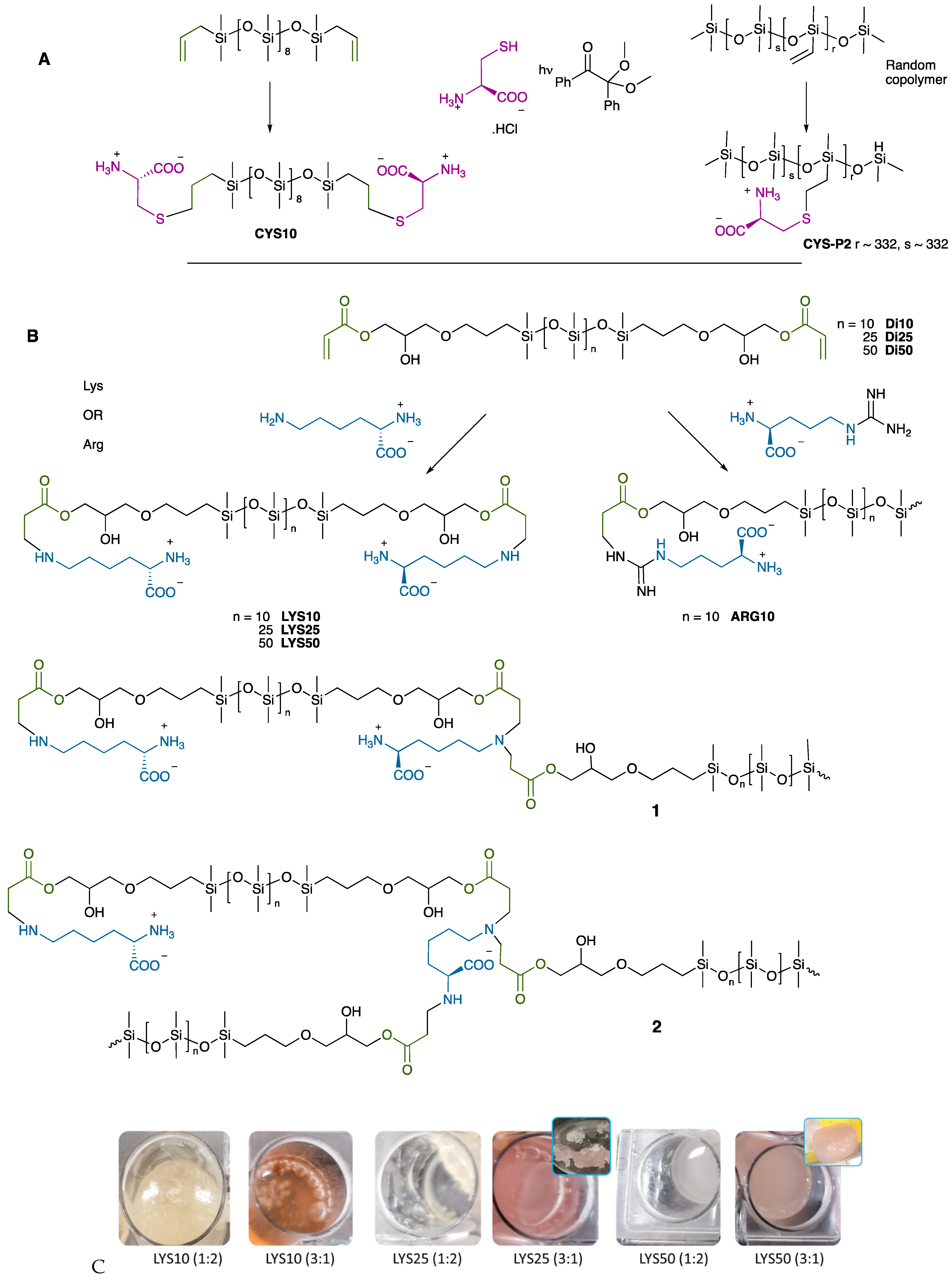 Suschem 04 00015 g001