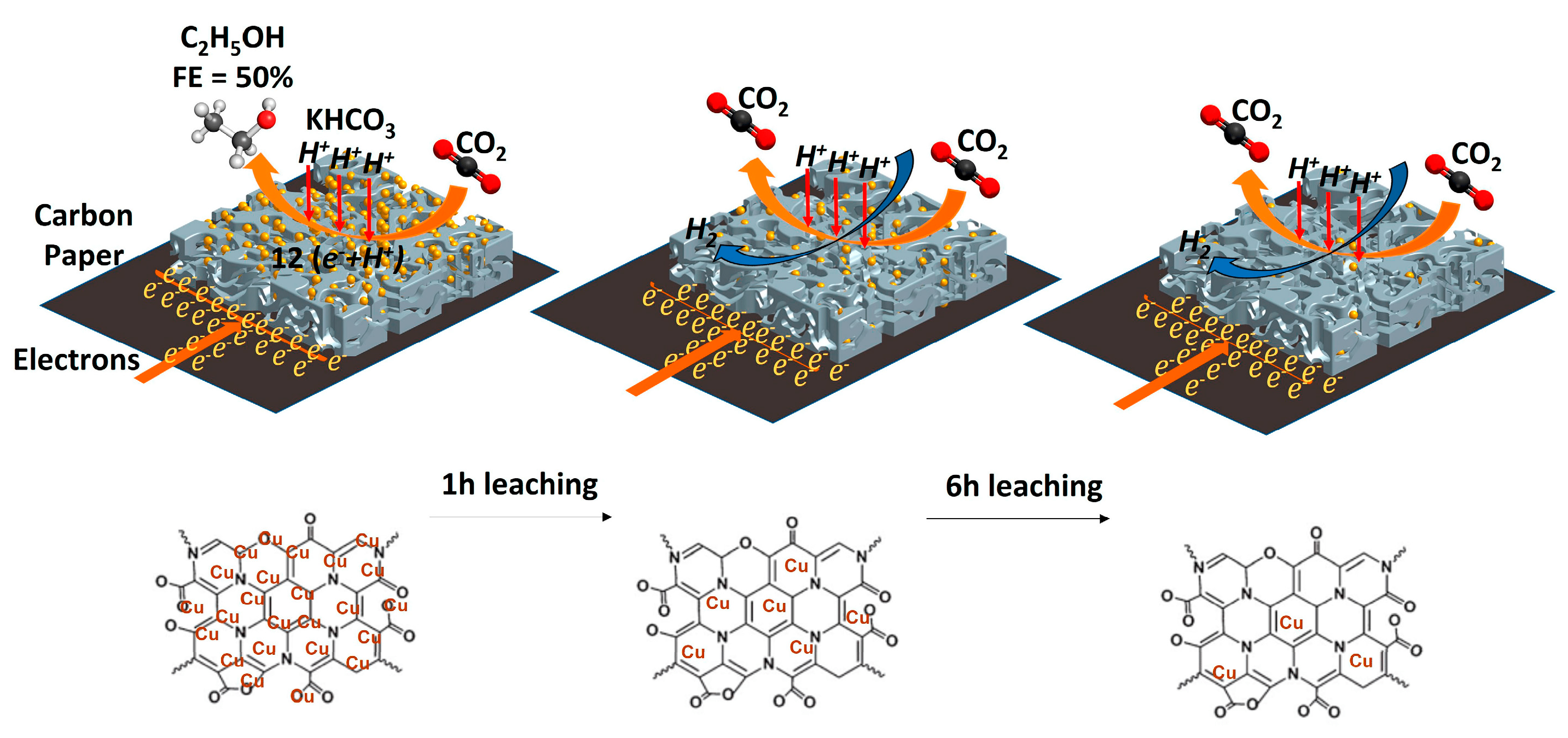 Suschem 04 00019 g005