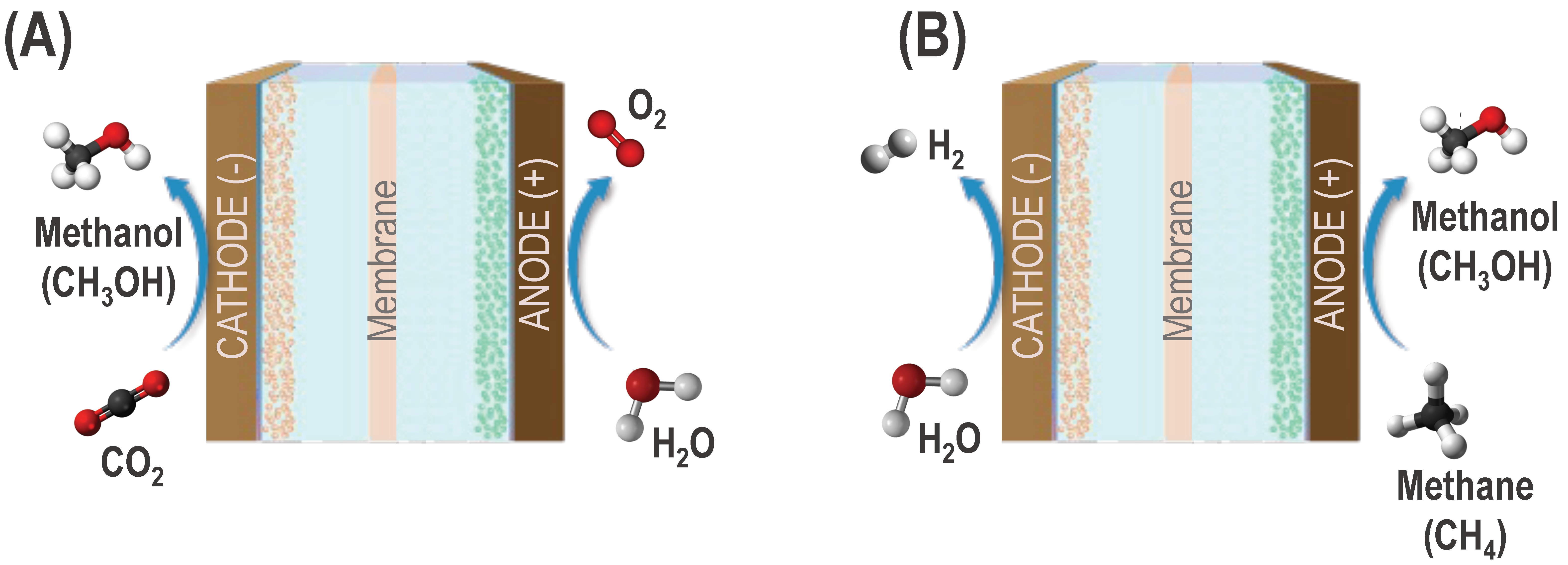 Suschem 05 00002 g001
