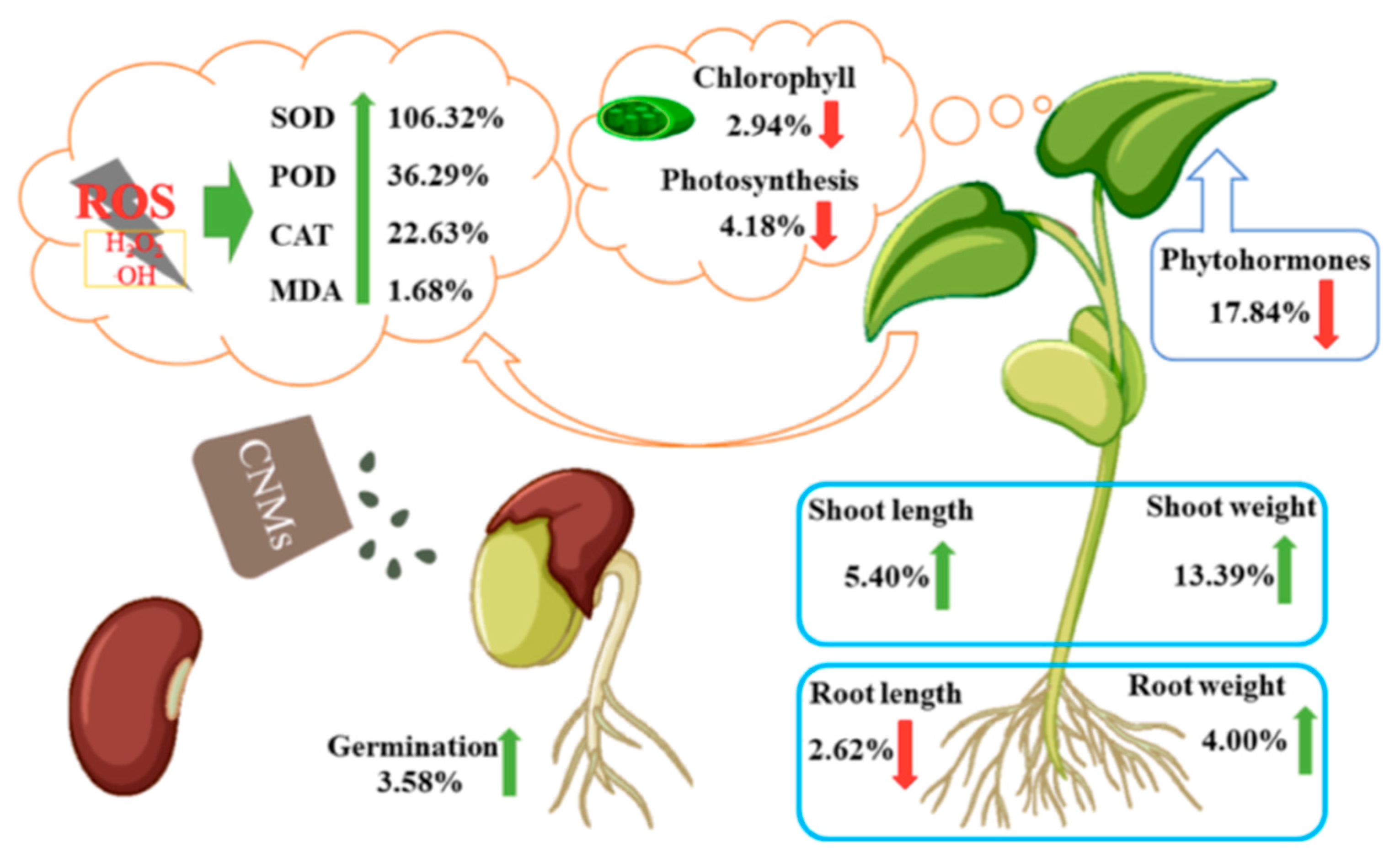 Suschem 05 00007 g003