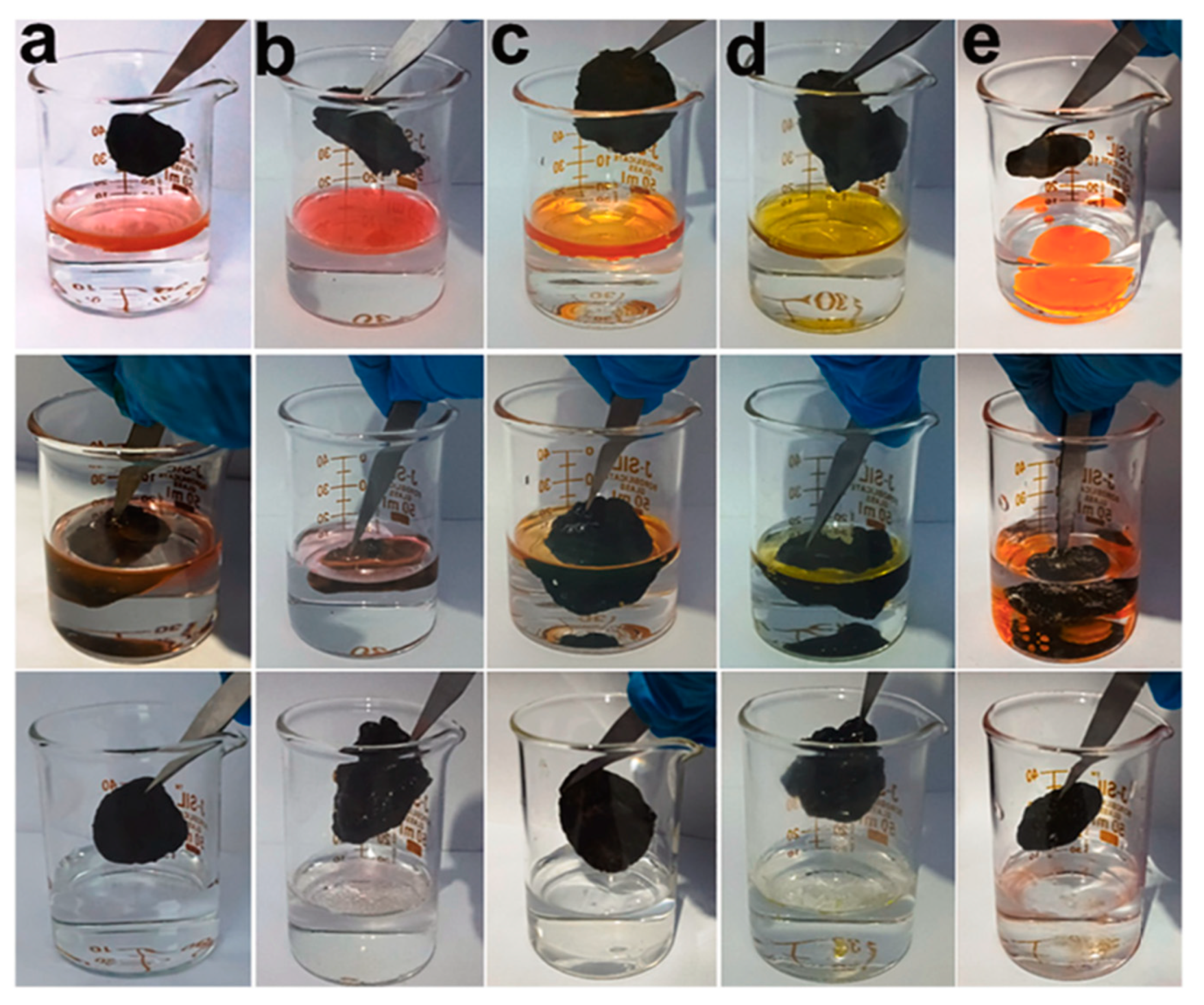 Suschem 05 00007 g009