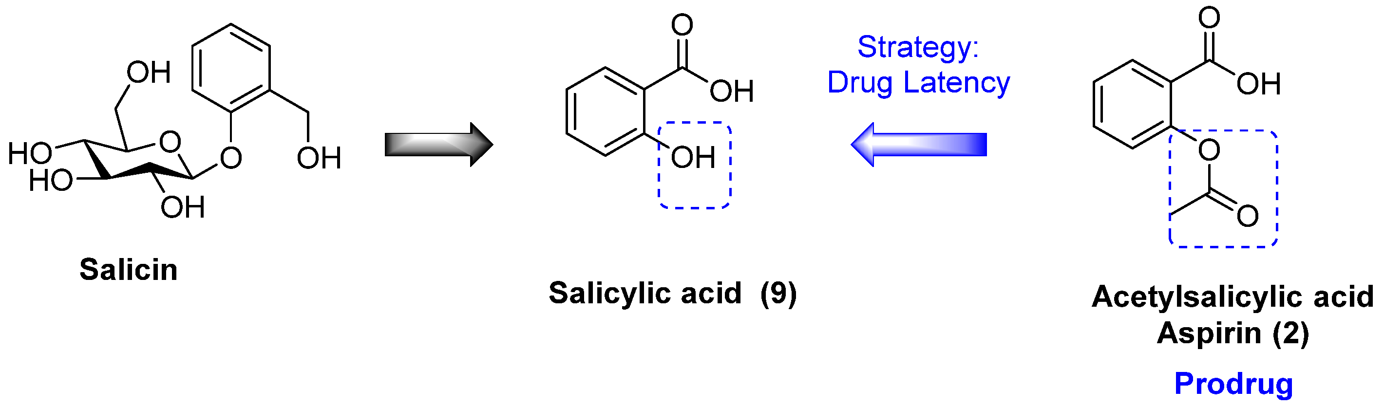 Suschem 06 00002 g003