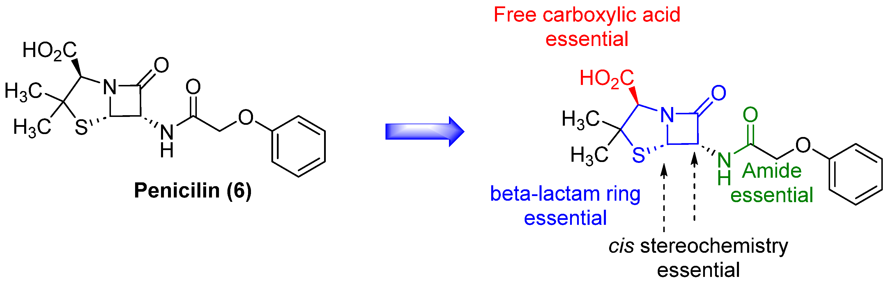 Suschem 06 00002 g006
