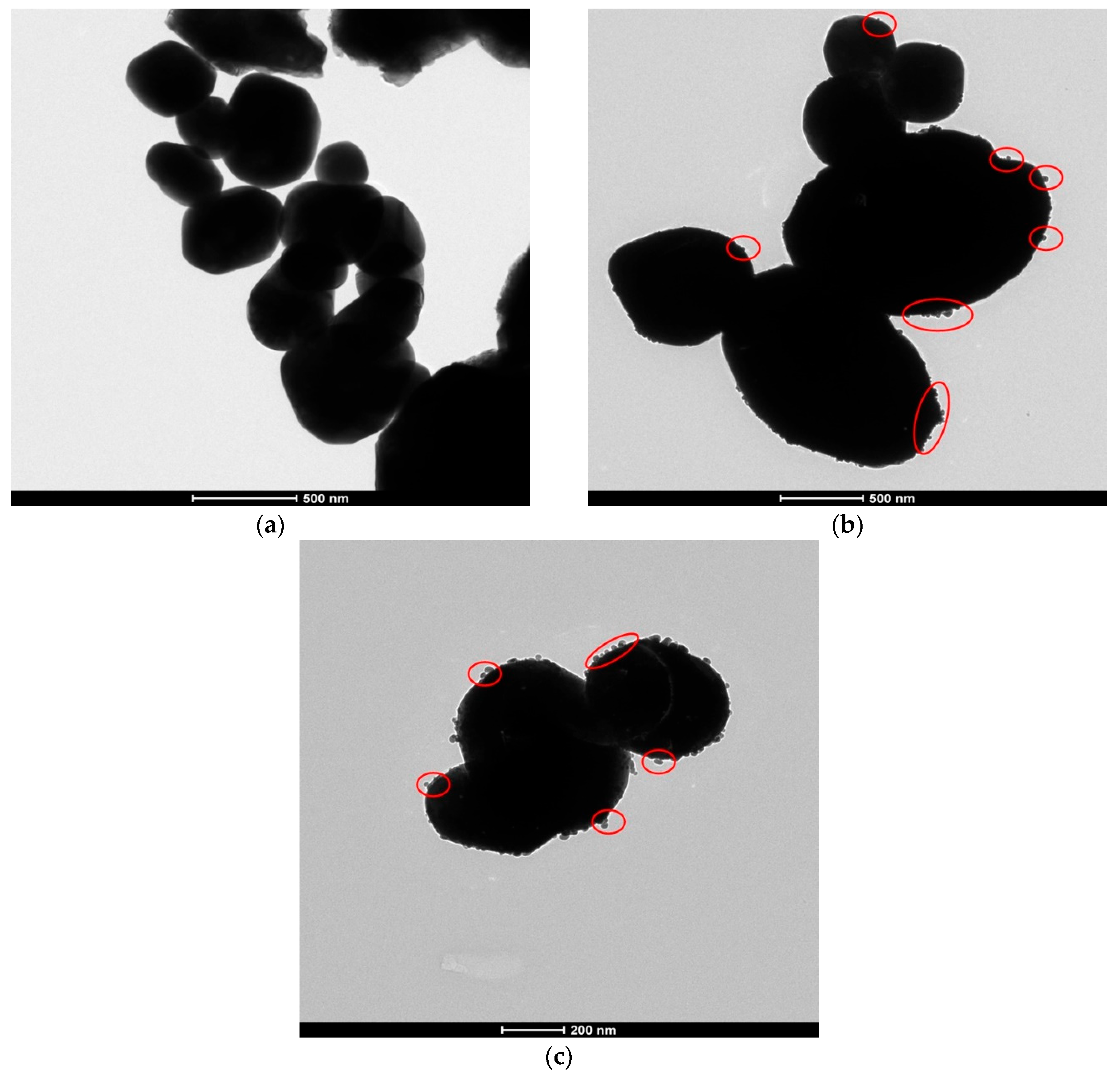 Suschem 06 00004 g004