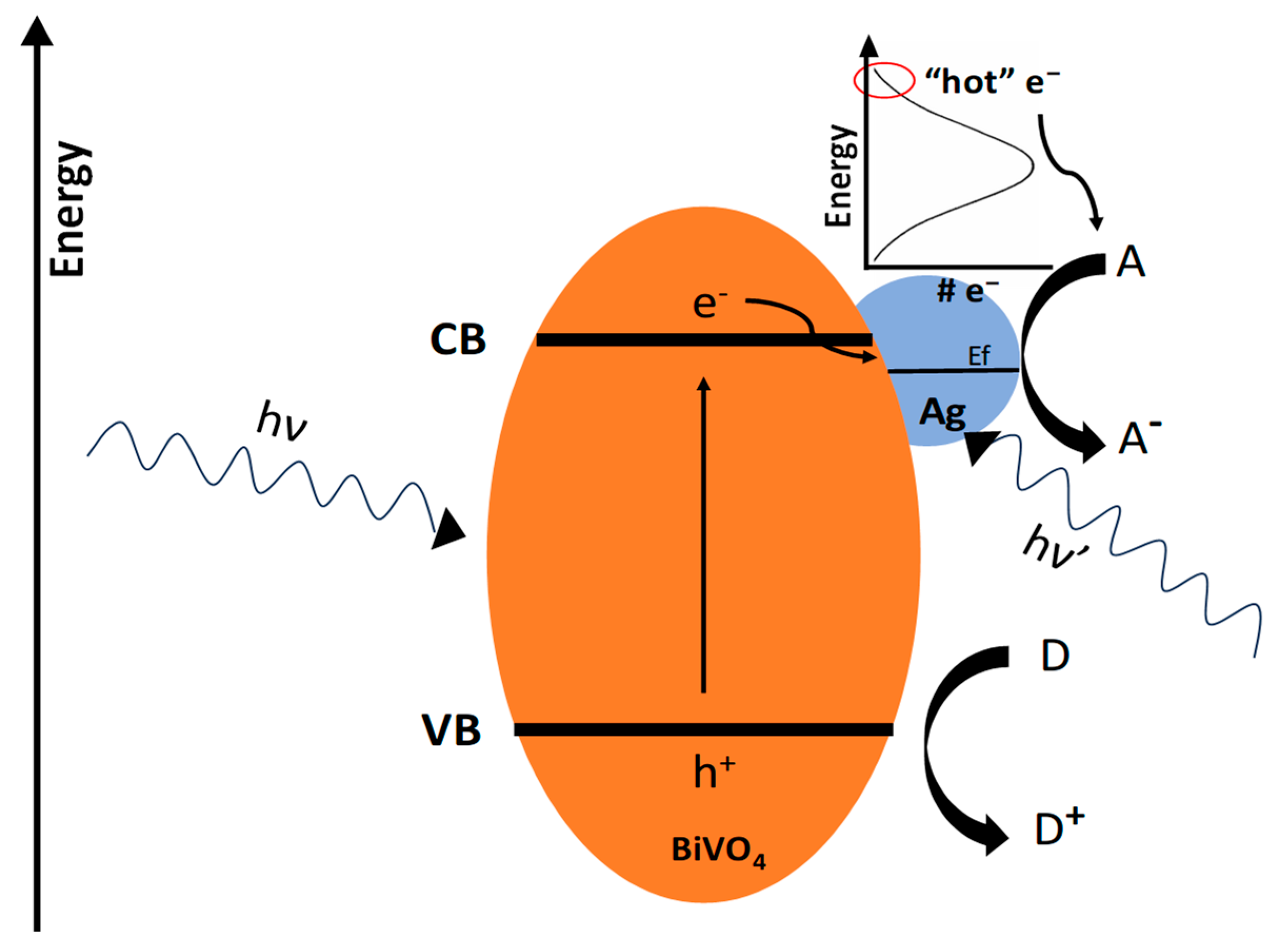 Suschem 06 00004 g007