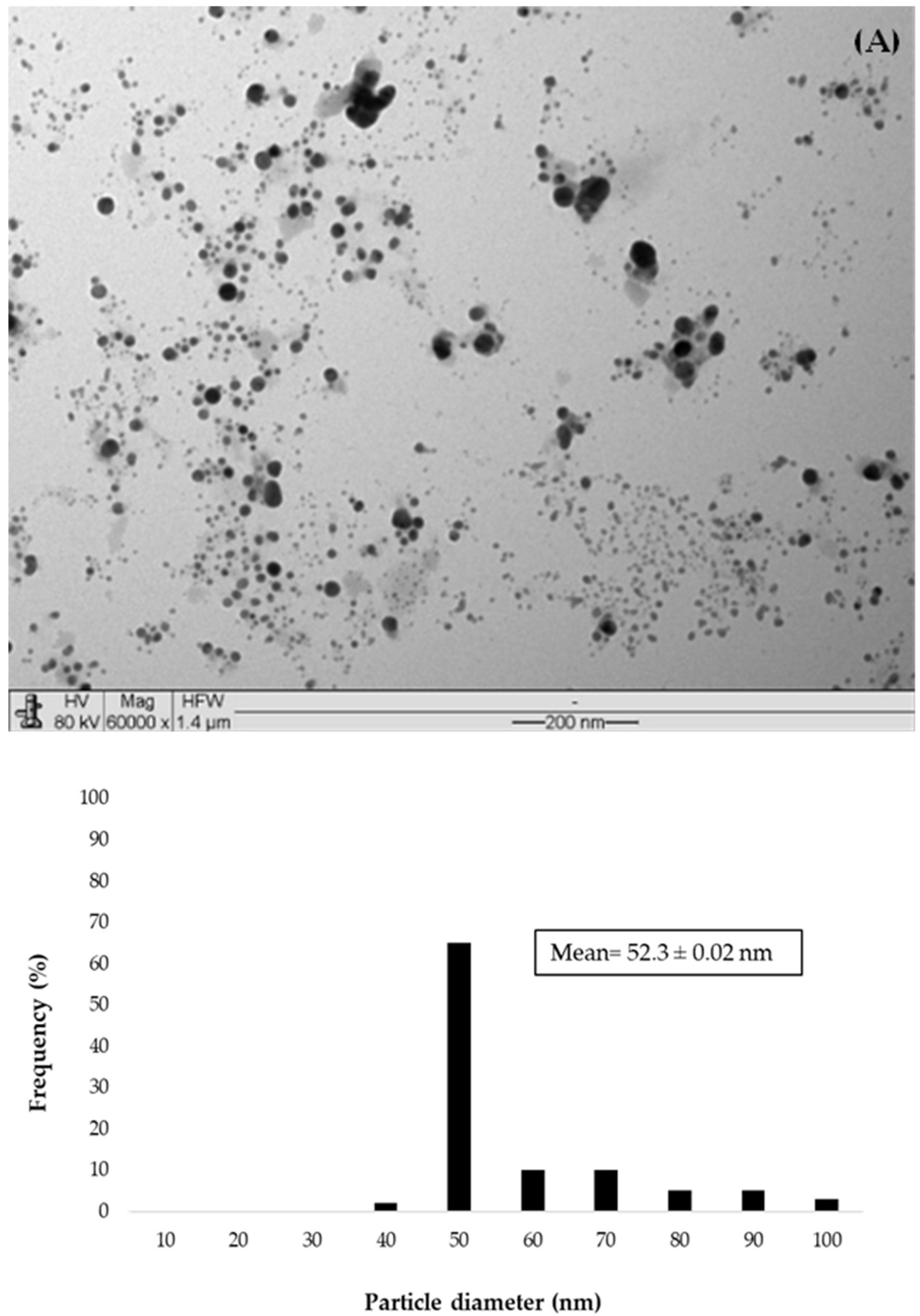 Suschem 06 00010 g003a
