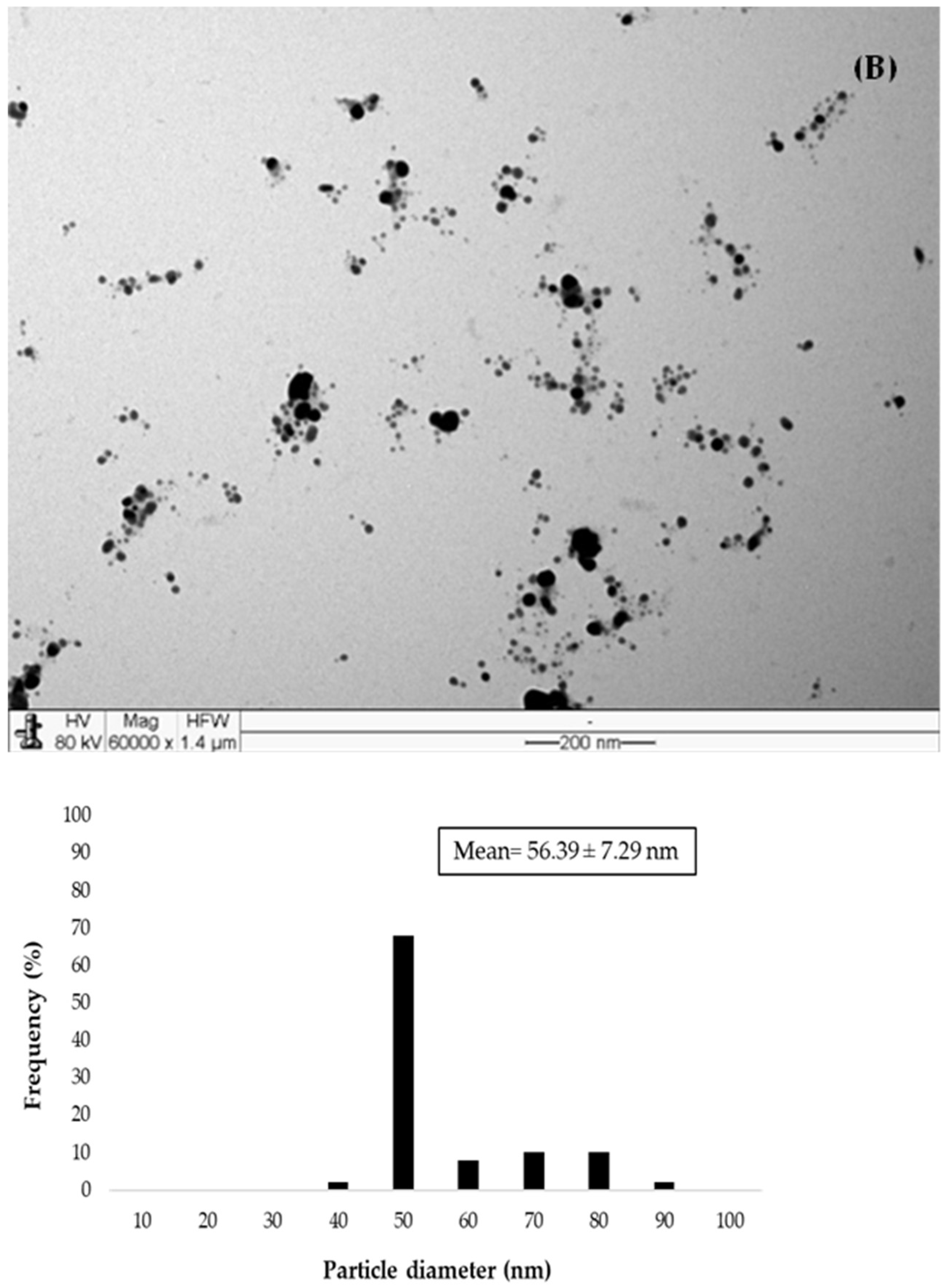 Suschem 06 00010 g003b