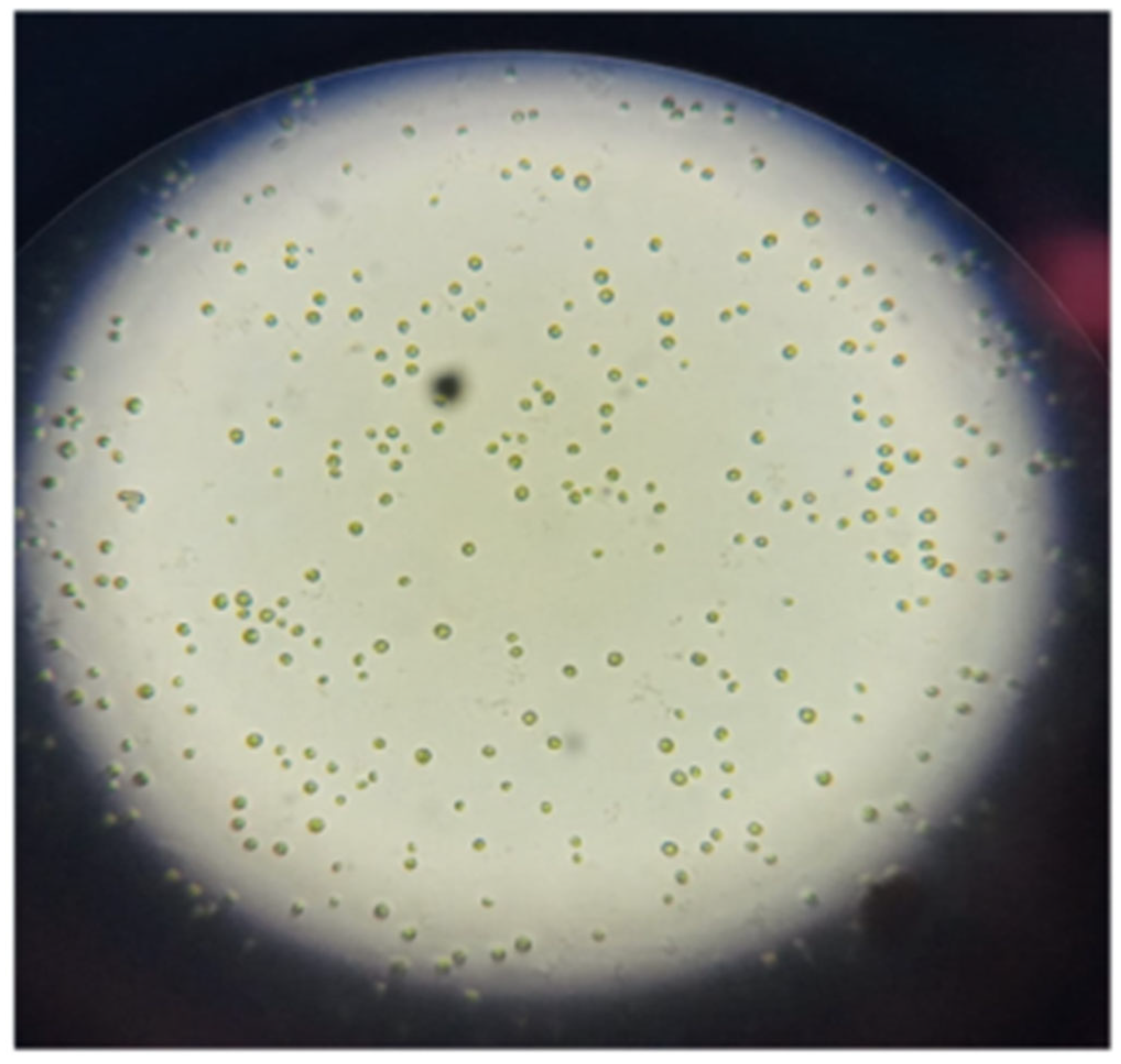 Suschem 06 00011 g001