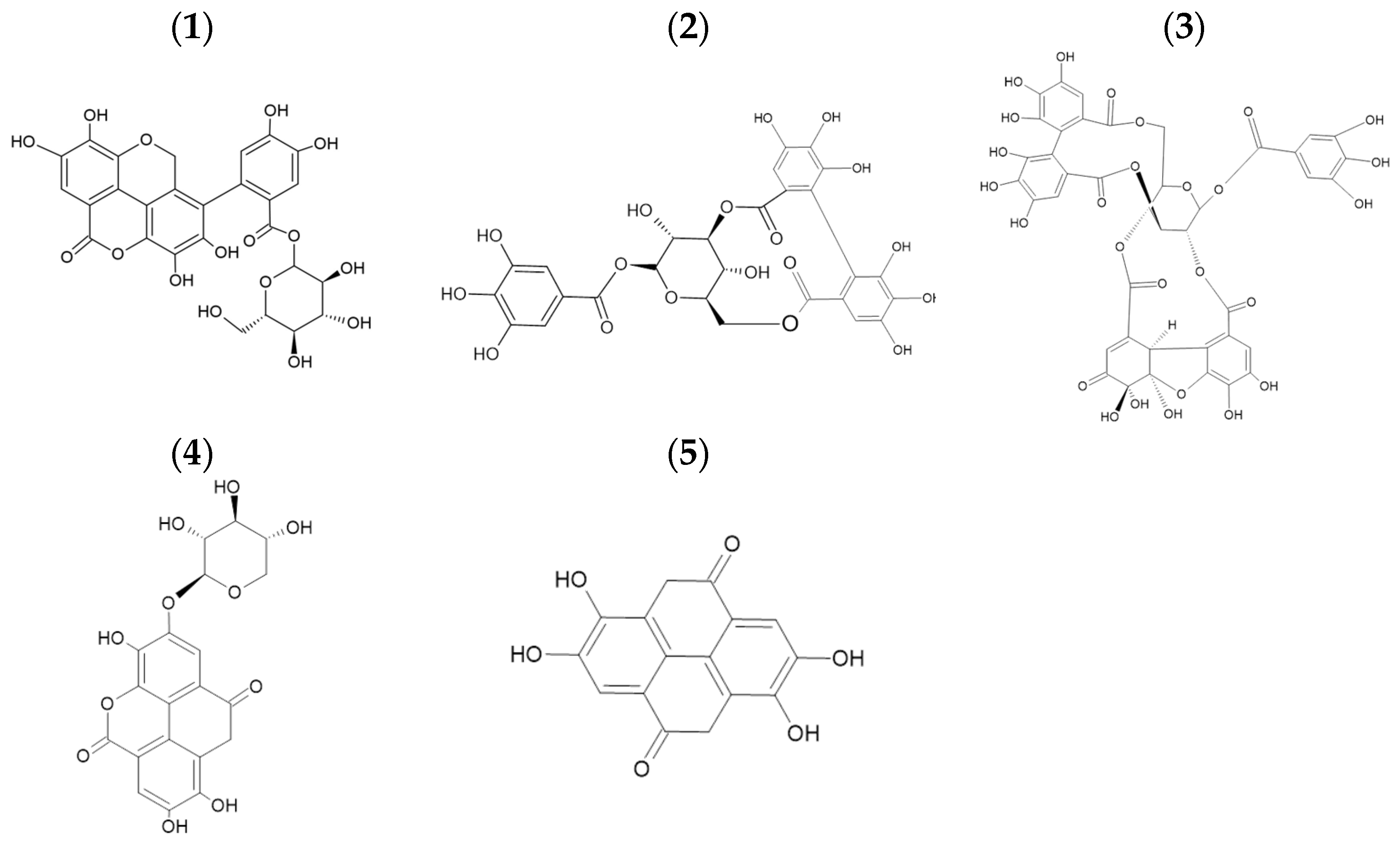 Suschem 06 00014 g002