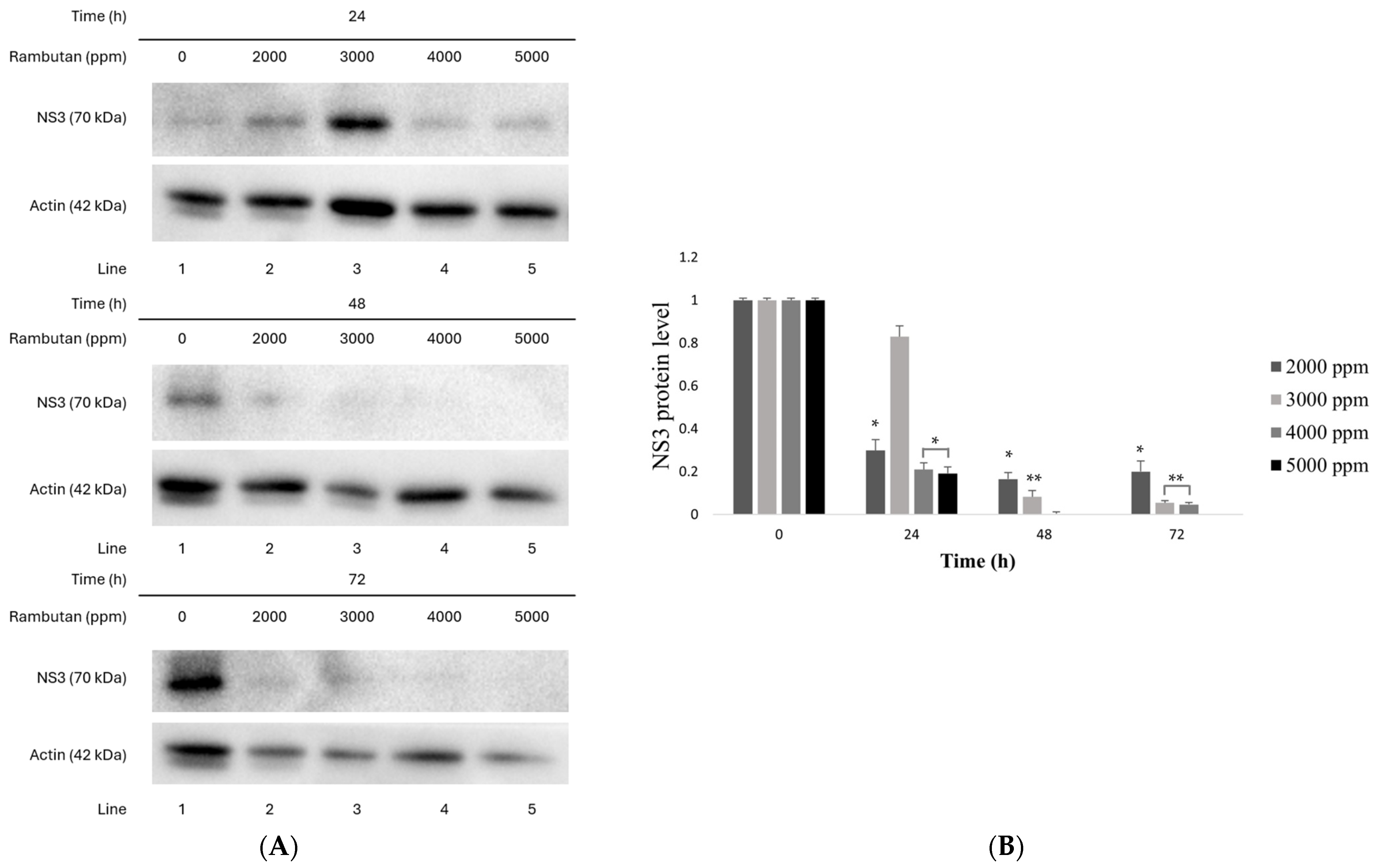 Suschem 06 00014 g005