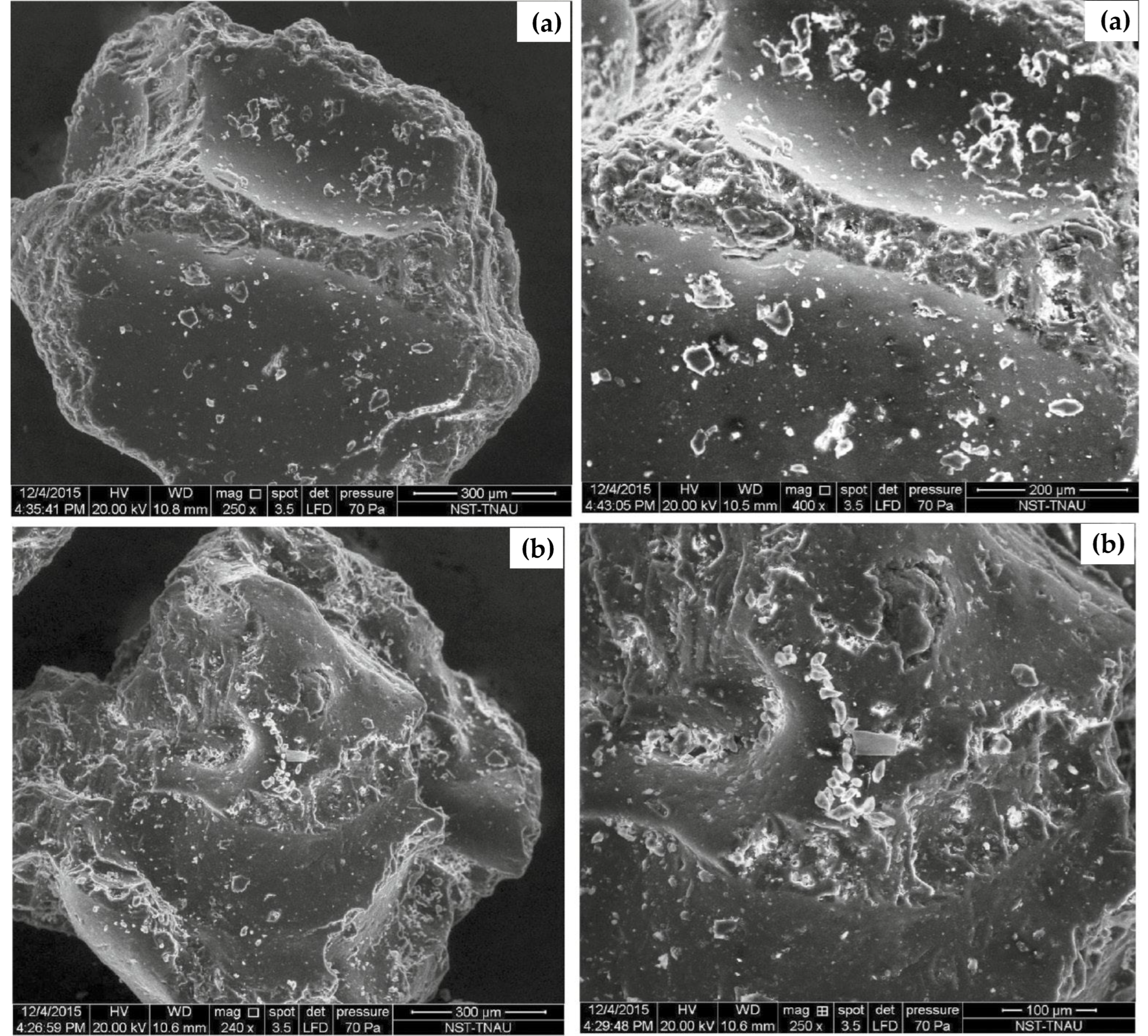 Suschem 06 00025 g002 Suschem 06 00025 g002