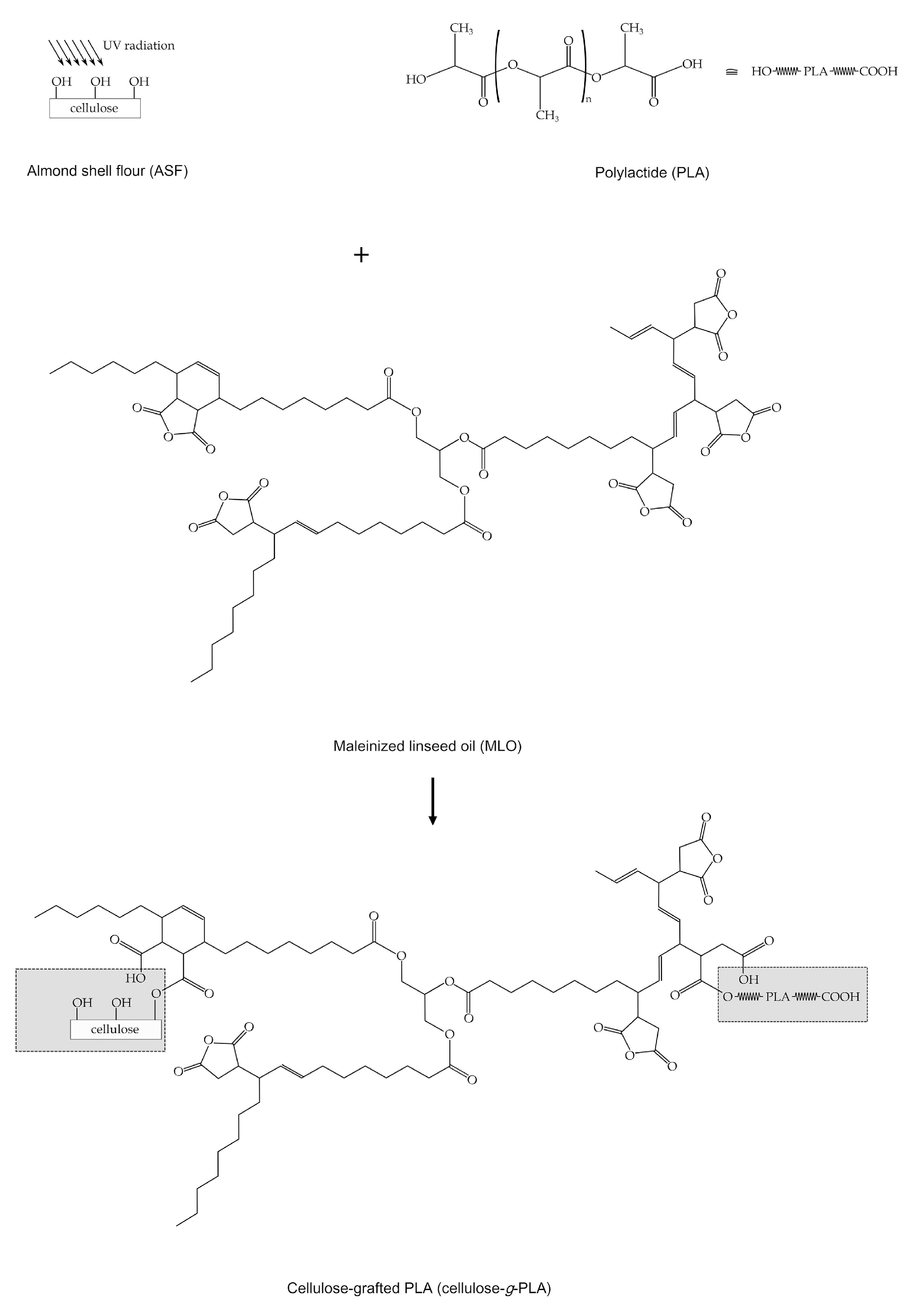 Suschem 06 00025 g009 Suschem 06 00025 g009
