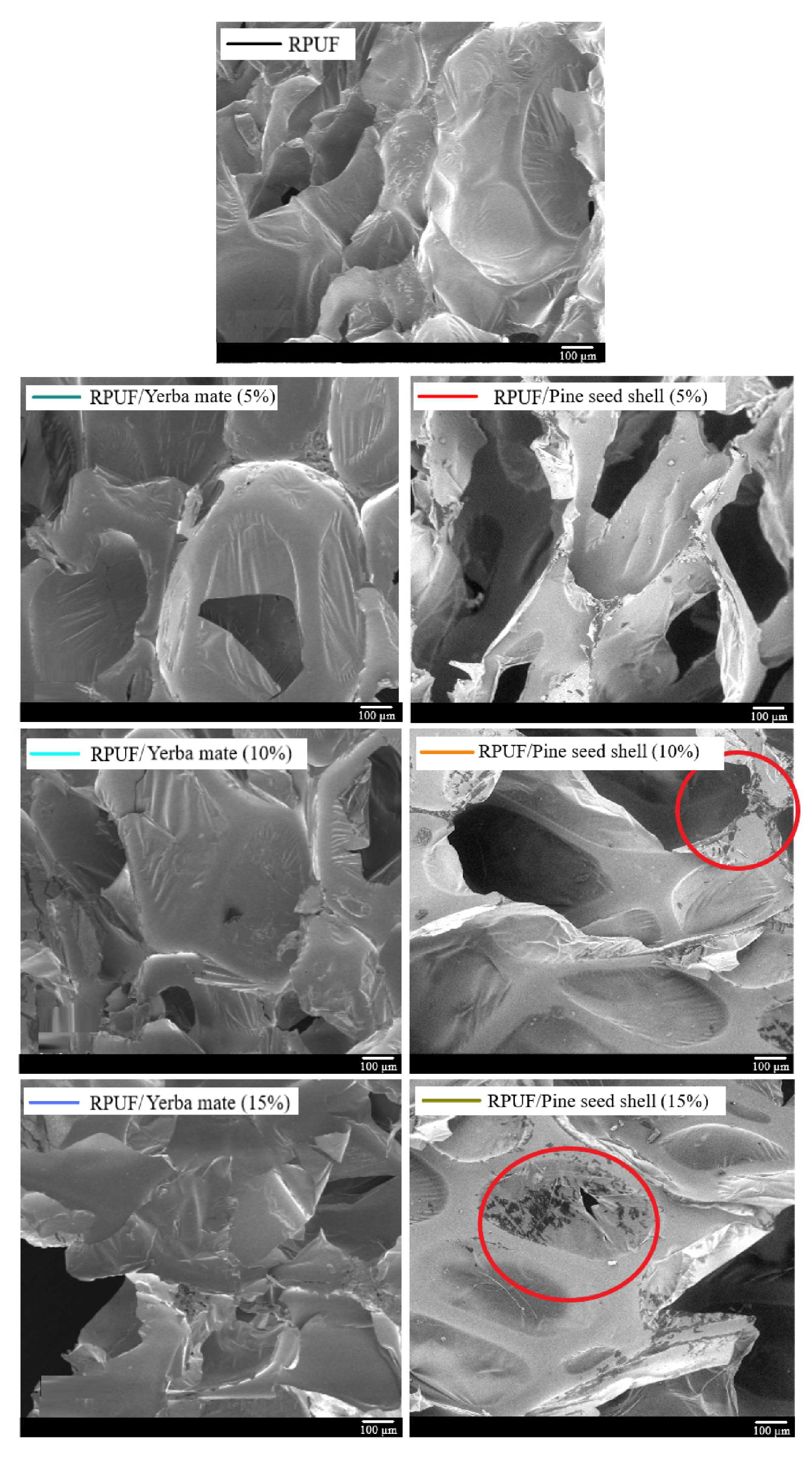 Suschem 06 00025 g023 Suschem 06 00025 g023