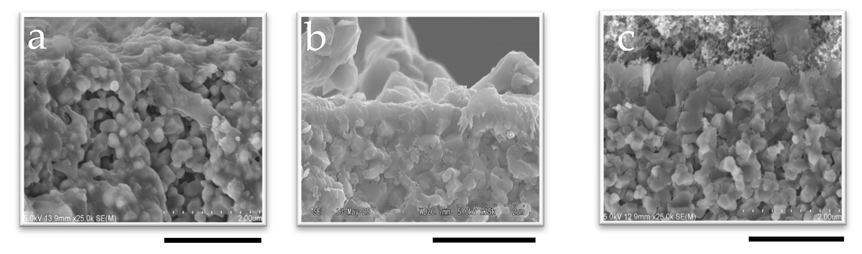 Suschem 06 00039 g002