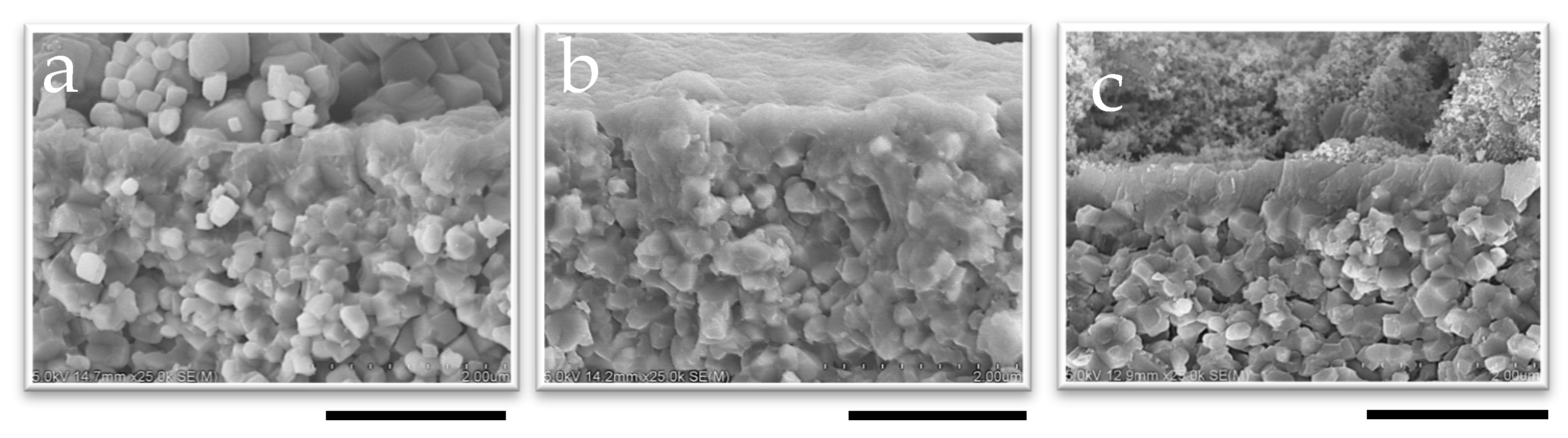 Suschem 06 00039 g005