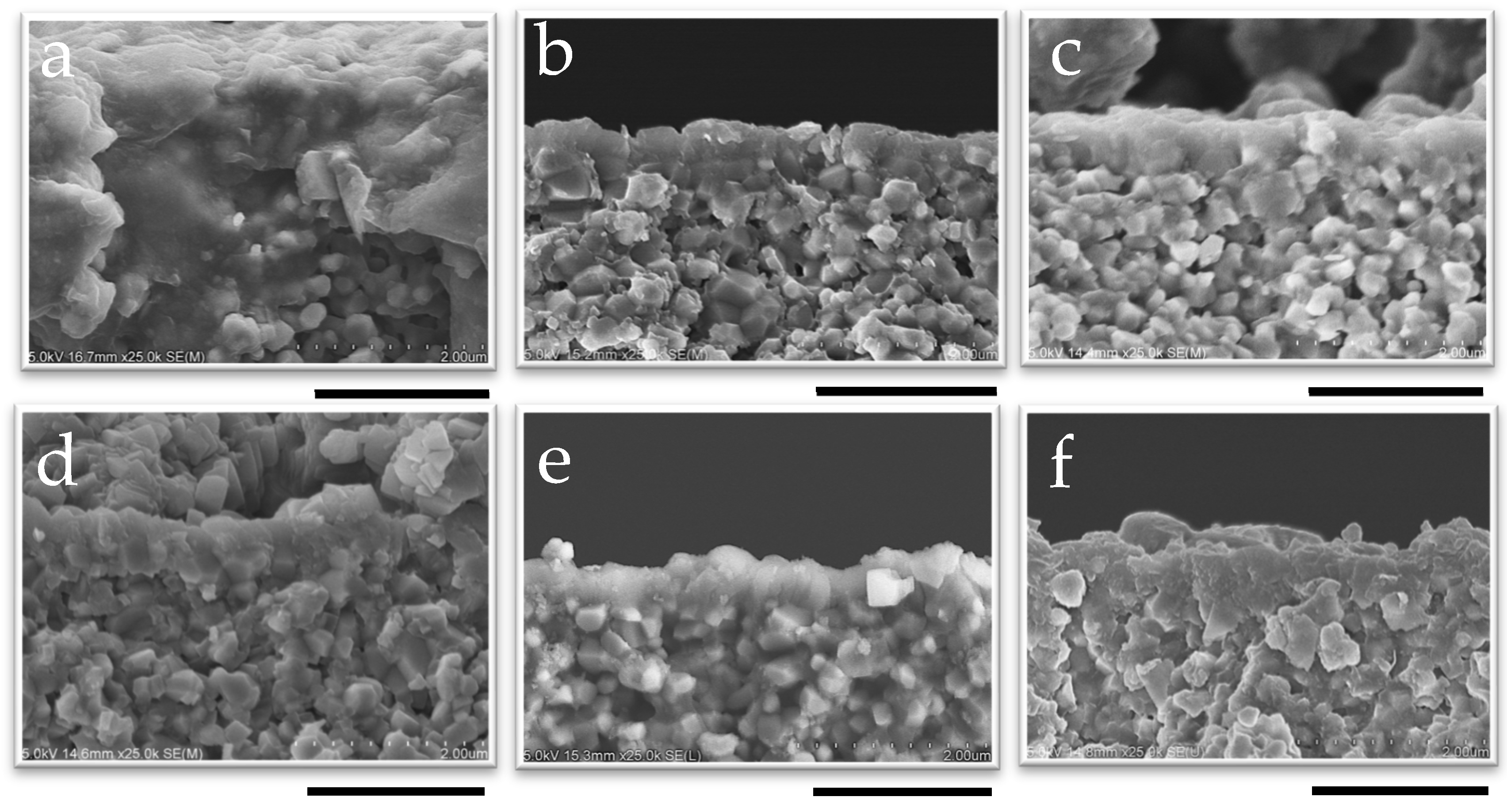 Suschem 06 00039 g008