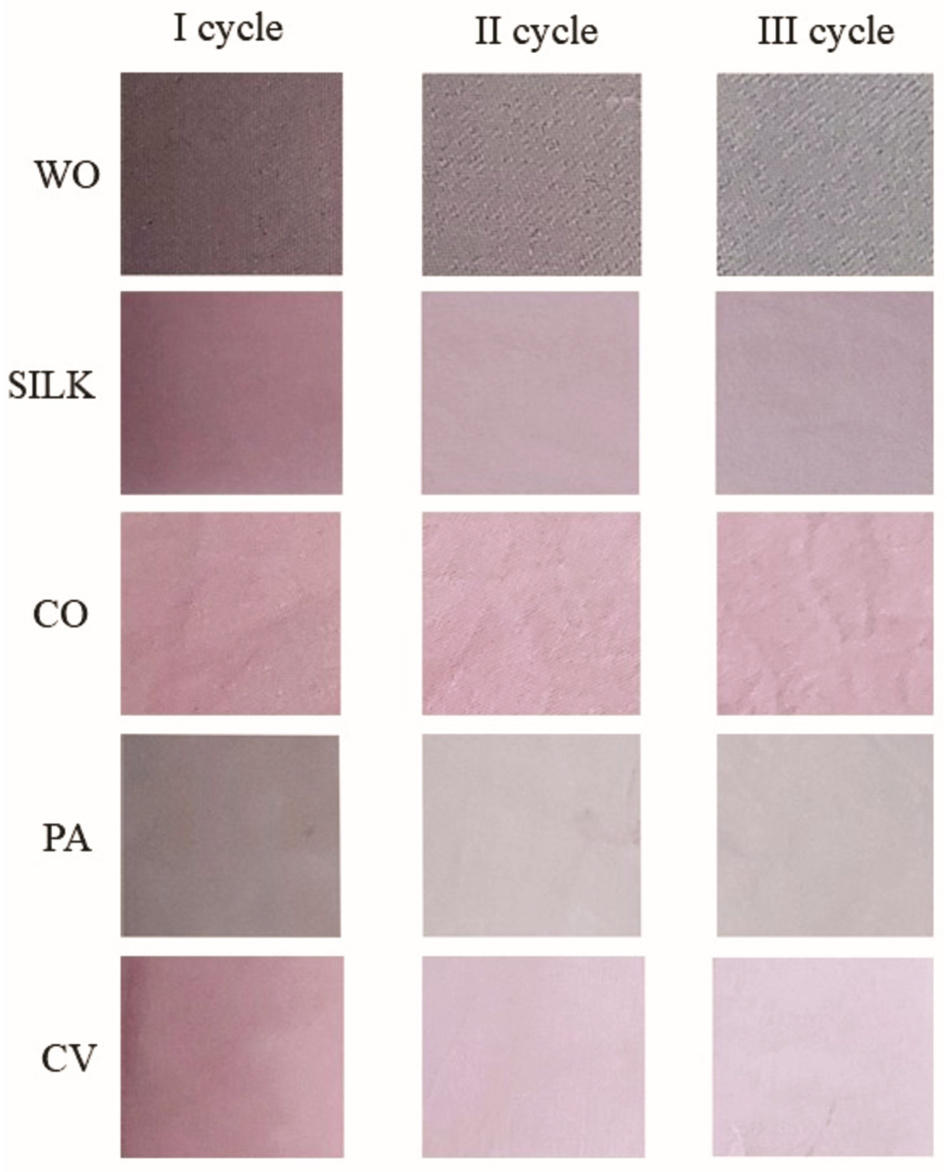 Suschem 06 00046 g002