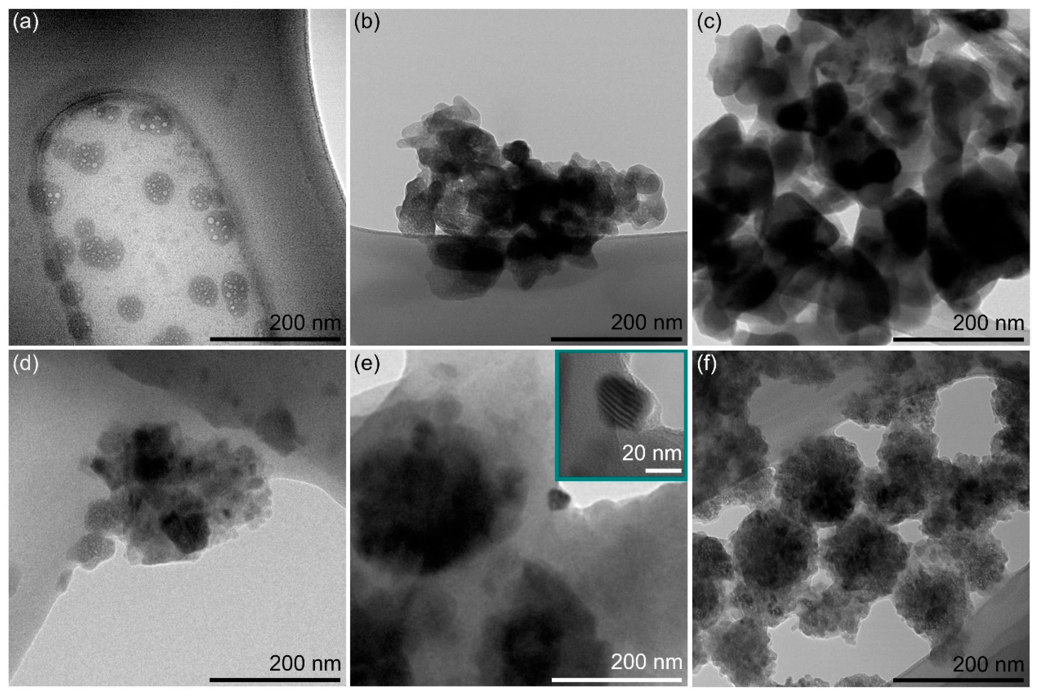 Suschem 07 00004 g004