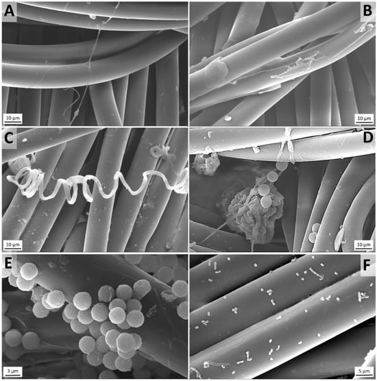Changes in the Chemical and Physical Properties of Untreated and ...