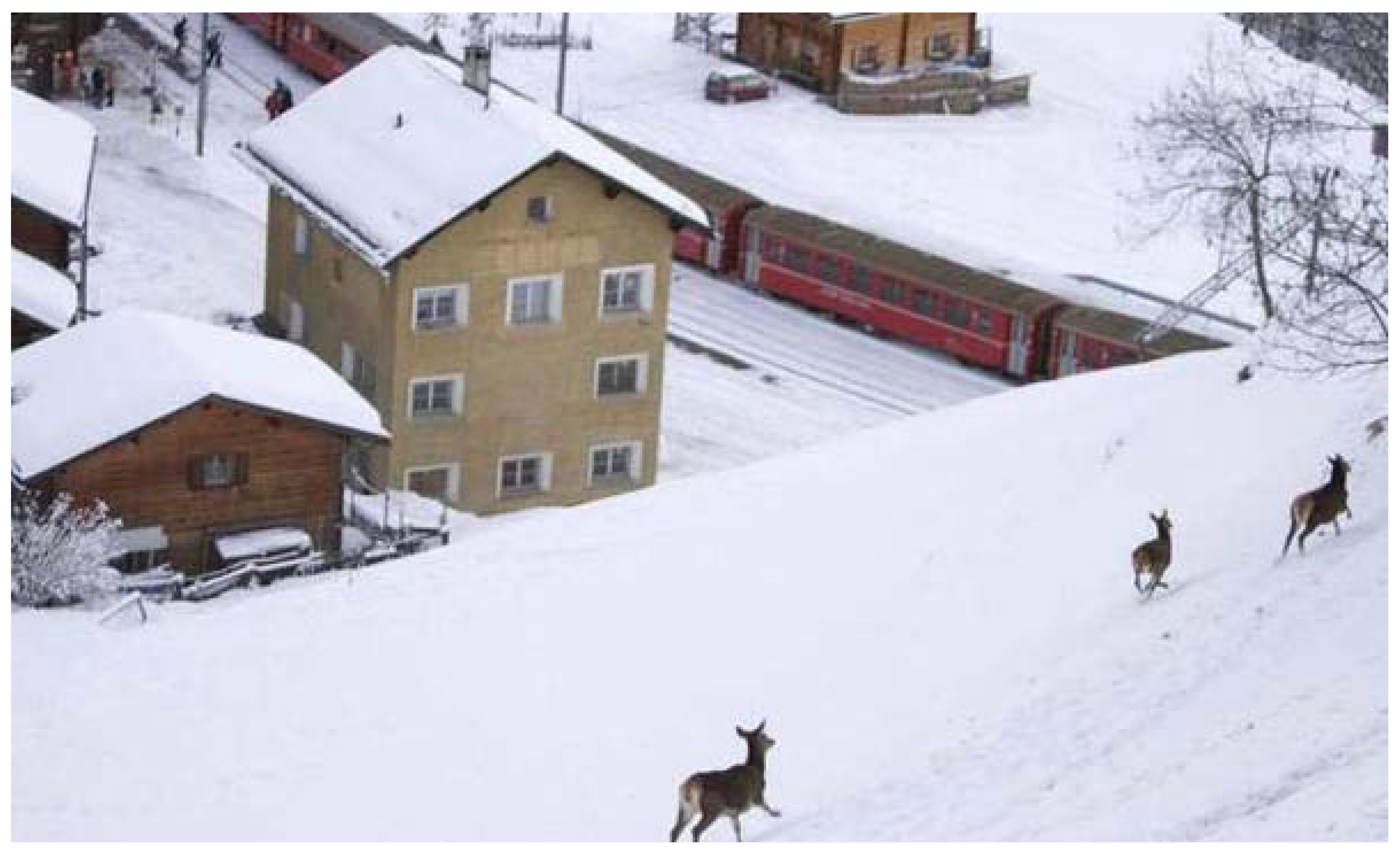 Sustainability 01 00104 g002