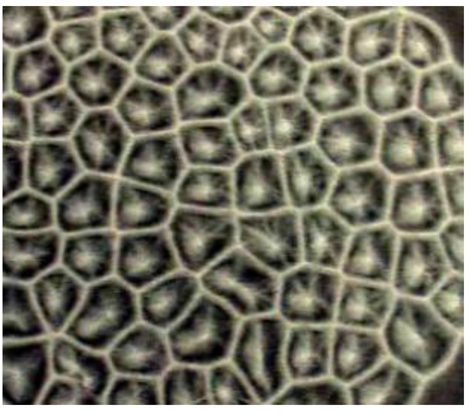 Sustainability 01 00827 g001