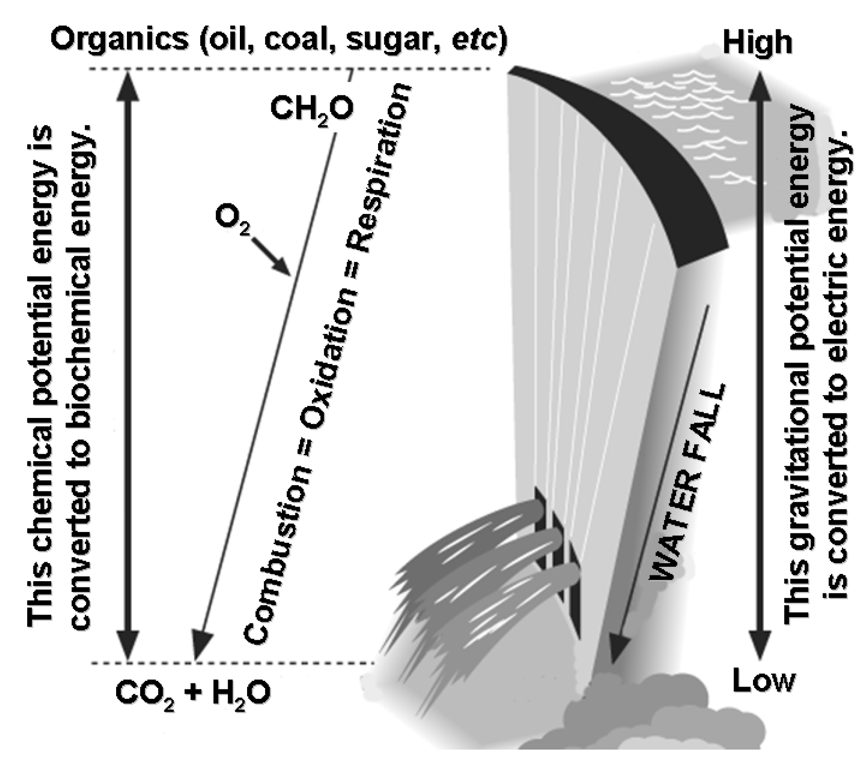 Sustainability 01 00827 g003