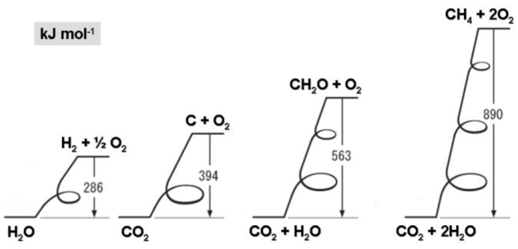 Sustainability 01 00827 g006 1024