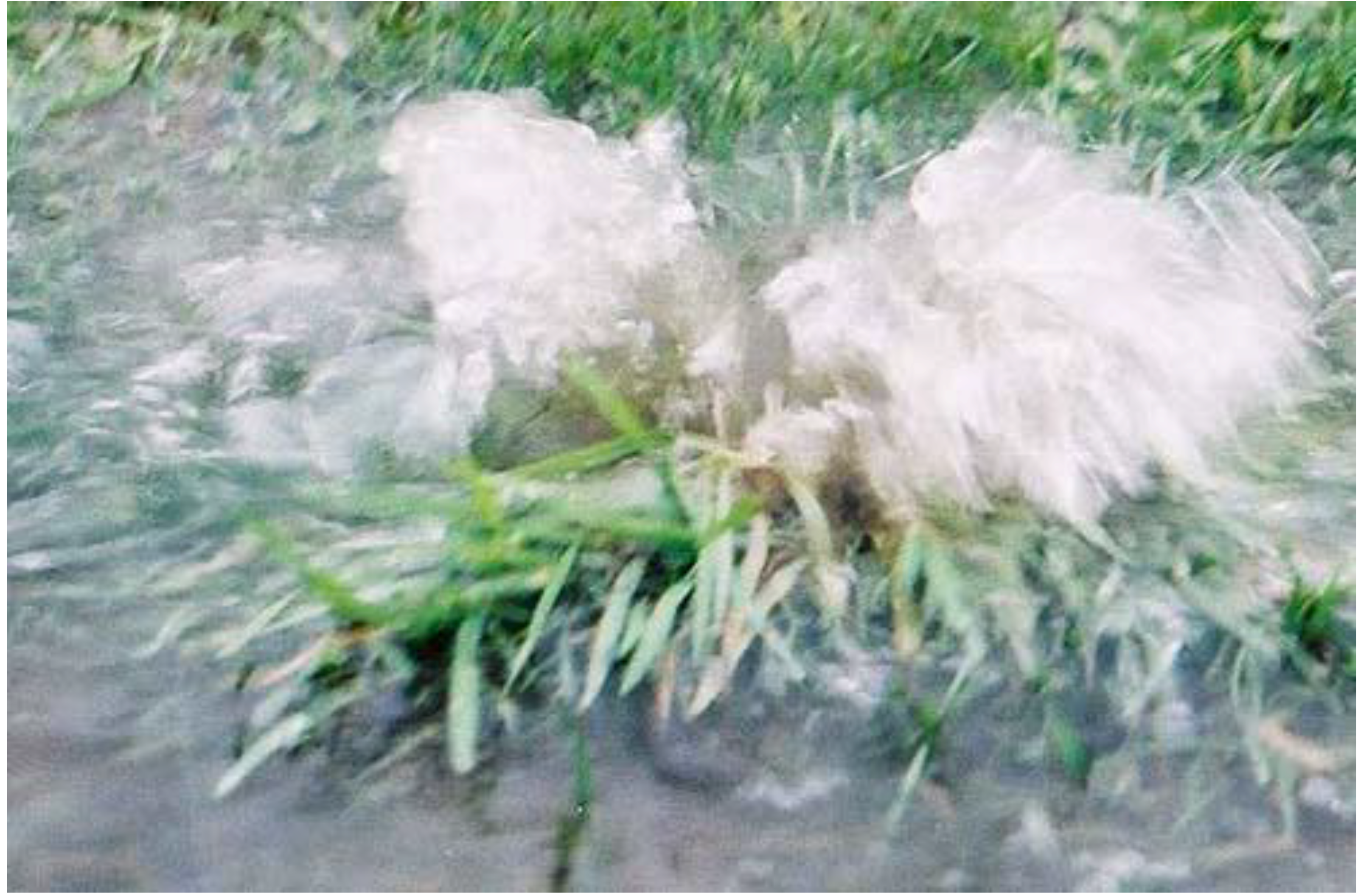 Sustainability 01 00855 g001