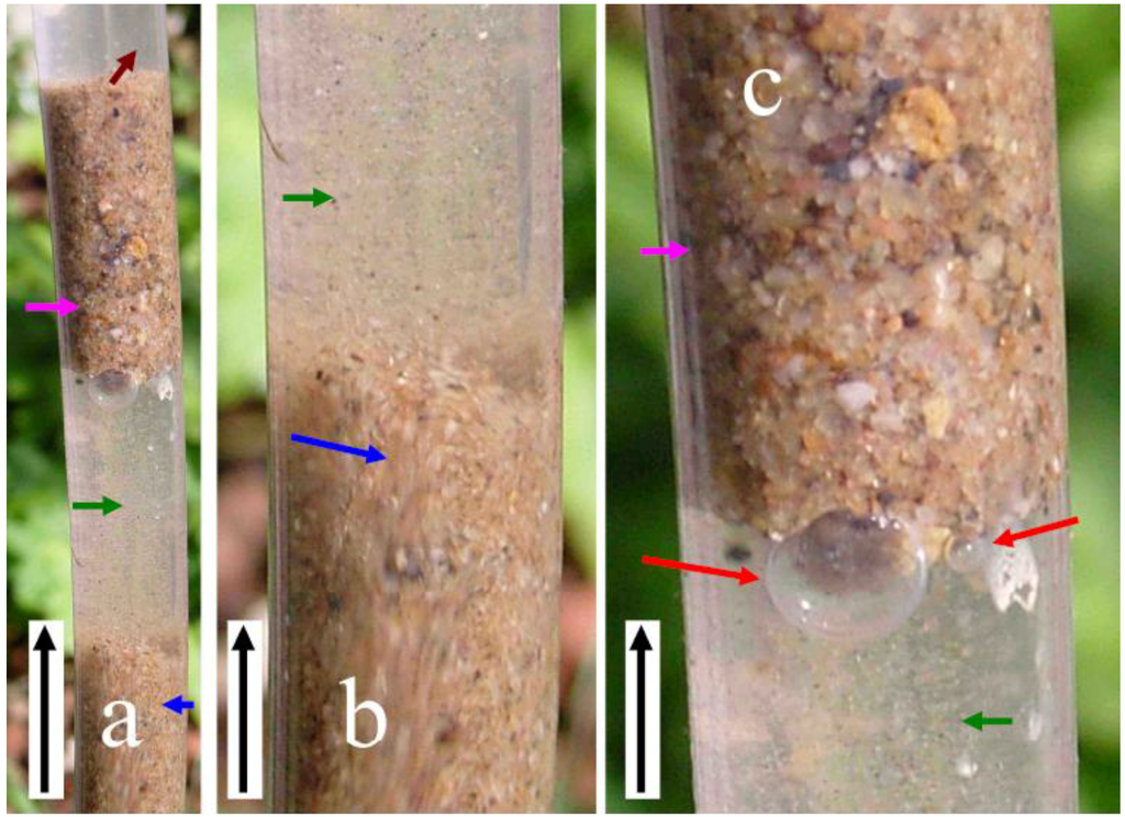 Sustainability 01 00855 g009 1024