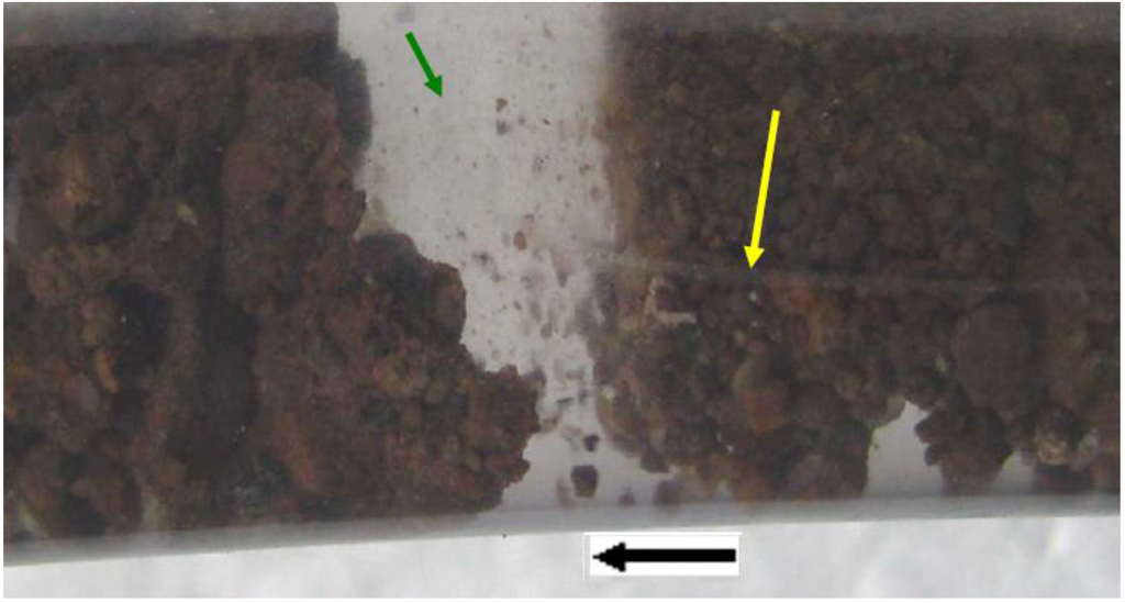 Sustainability 01 00855 g010 1024