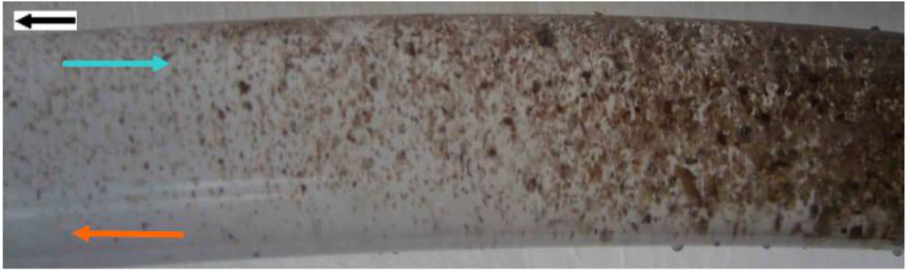 Sustainability 01 00855 g011 1024