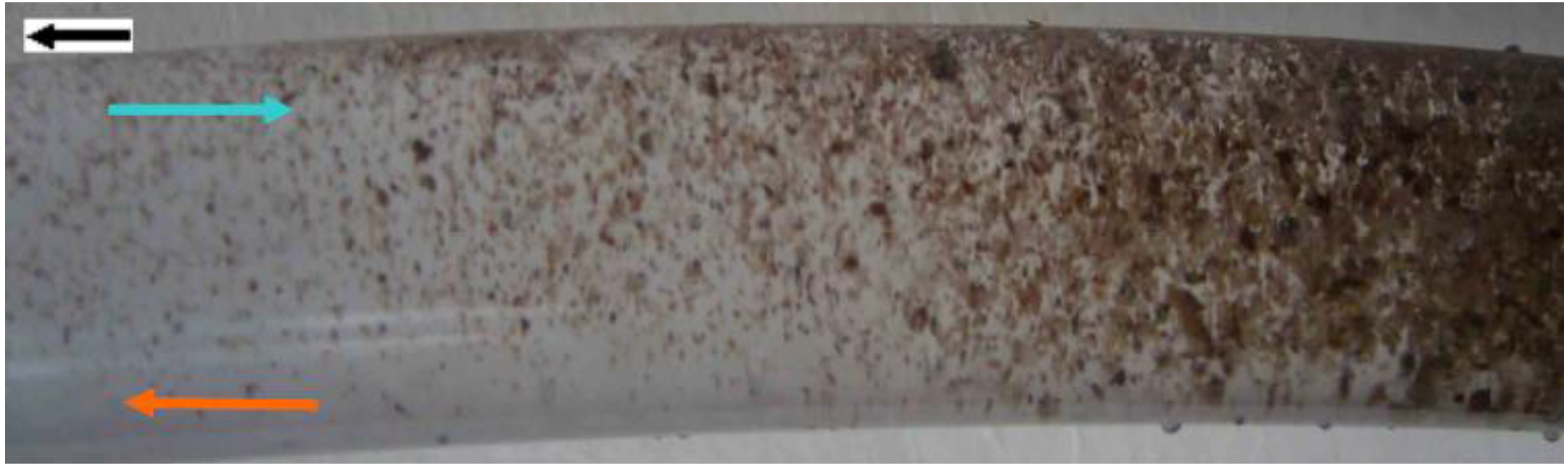 Sustainability 01 00855 g011