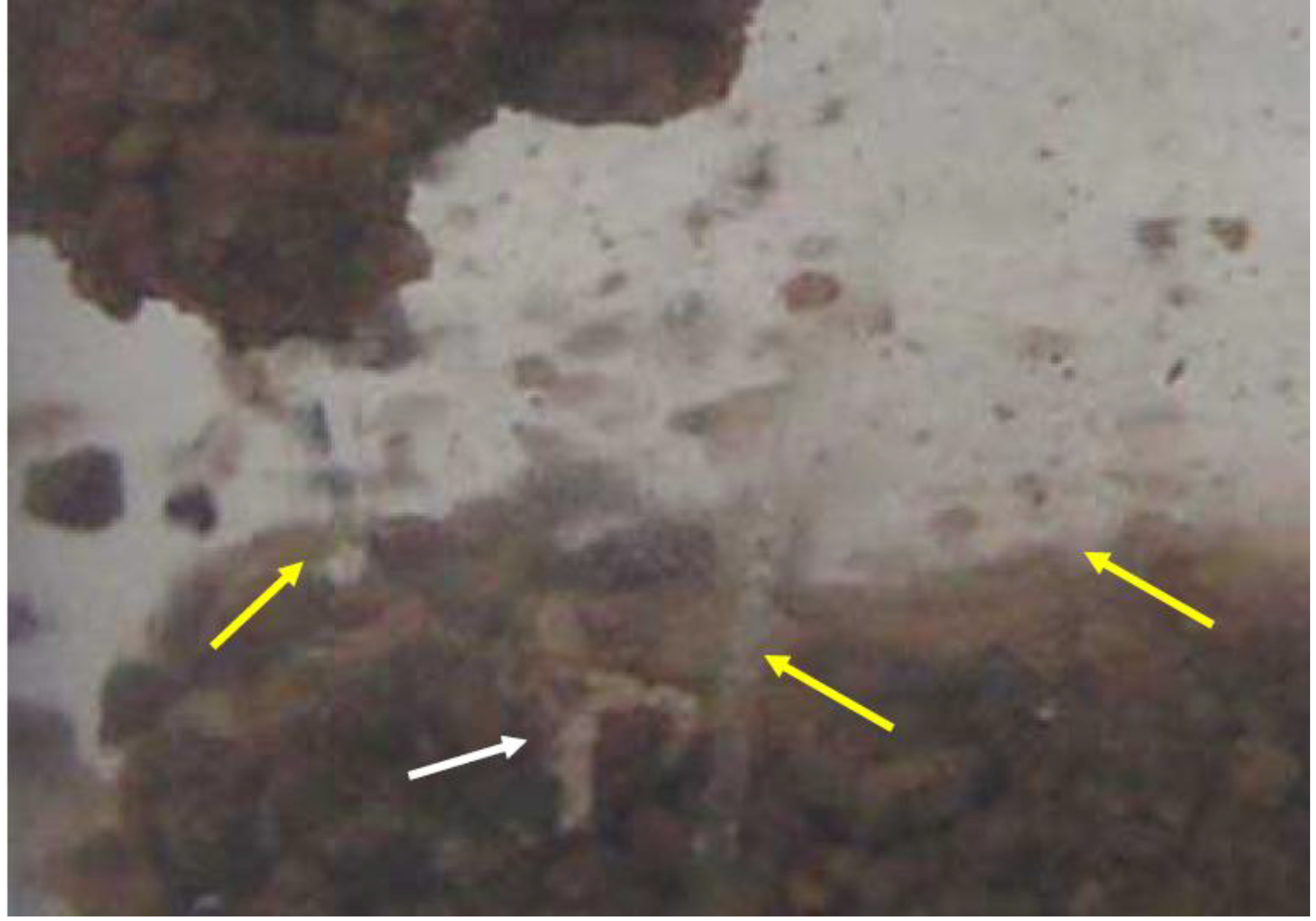 Sustainability 01 00855 g012