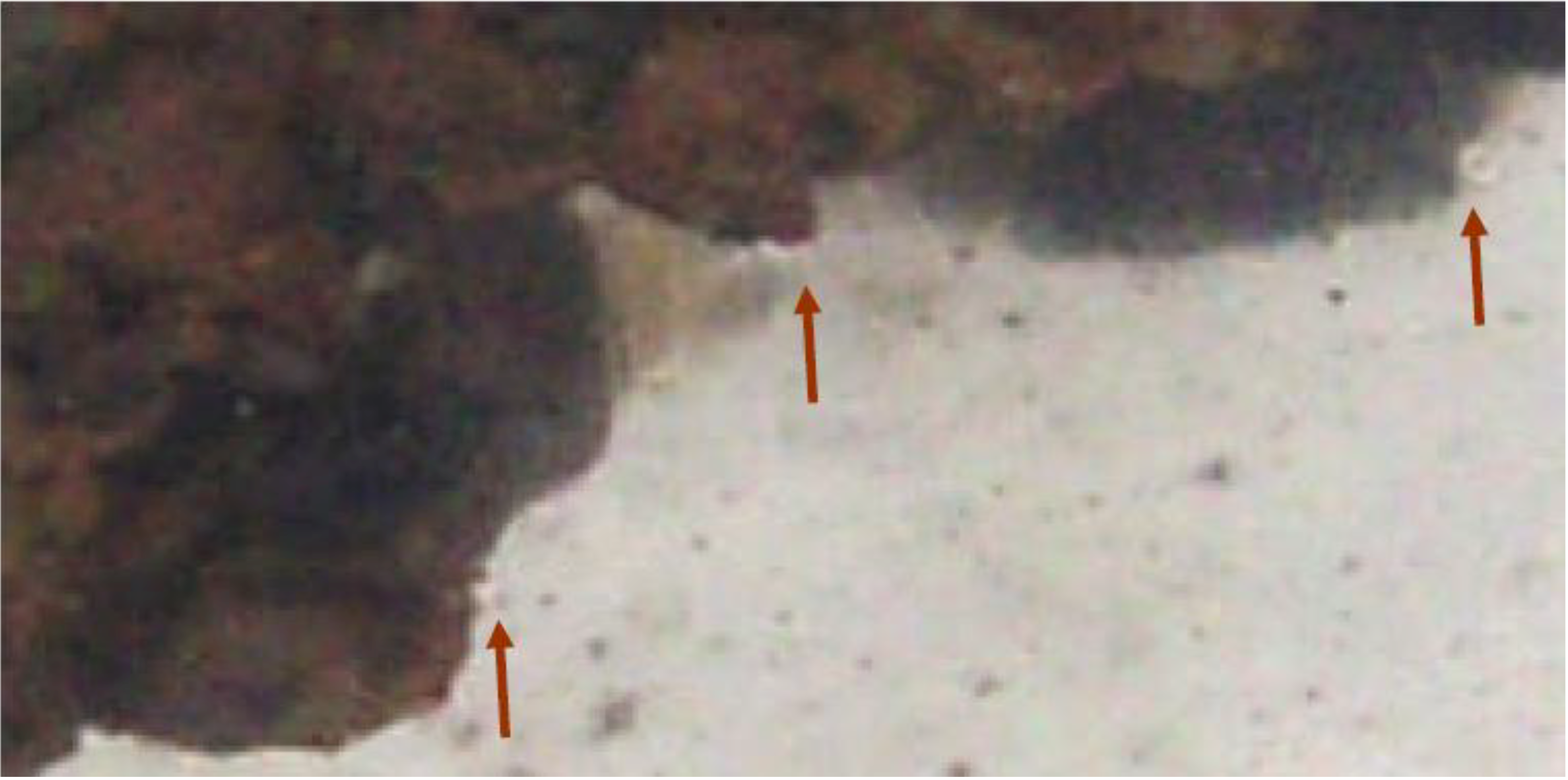 Sustainability 01 00855 g013